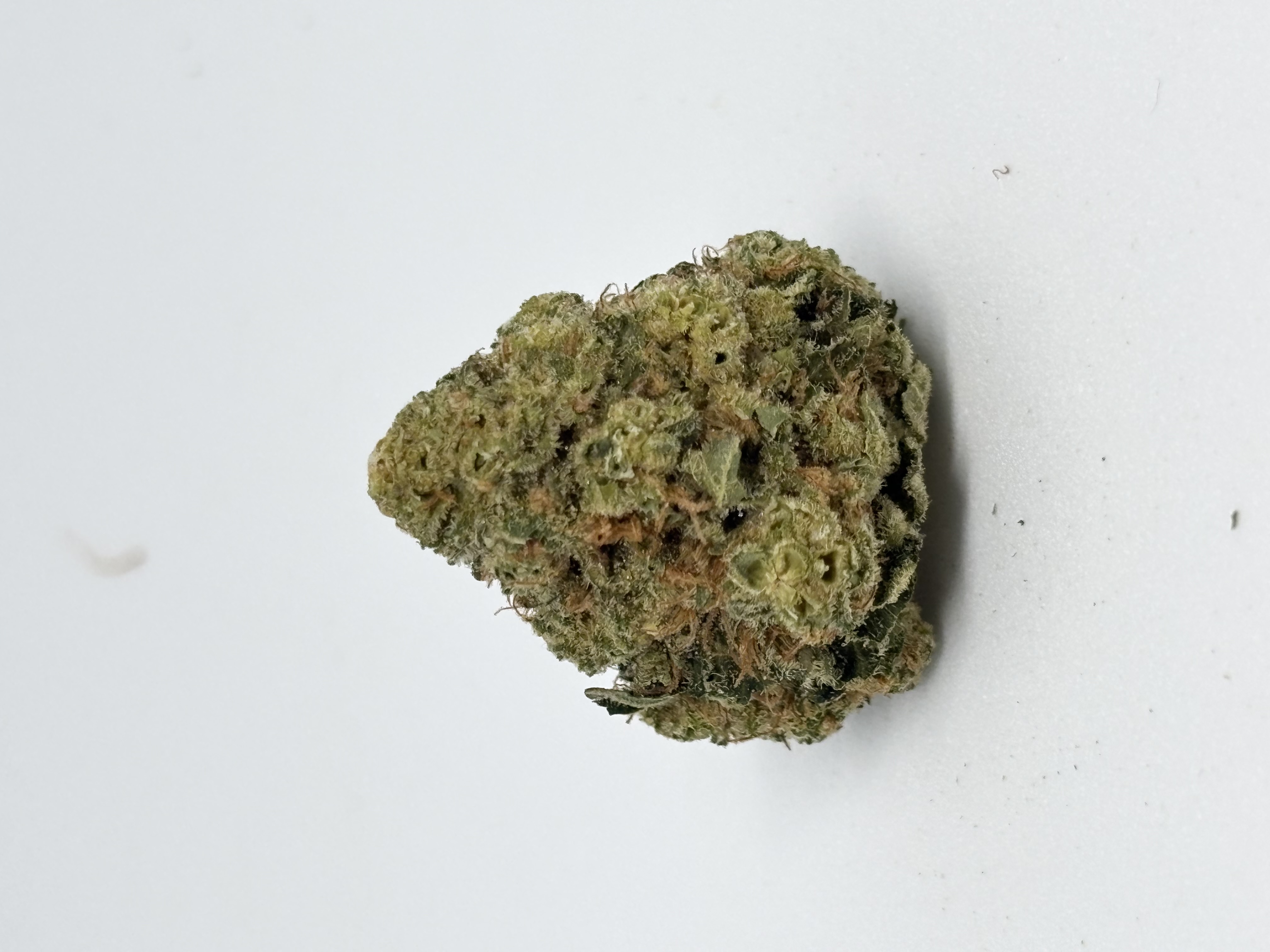 Luana 20/1 GSC von Cannamedical — Cannabisblüte