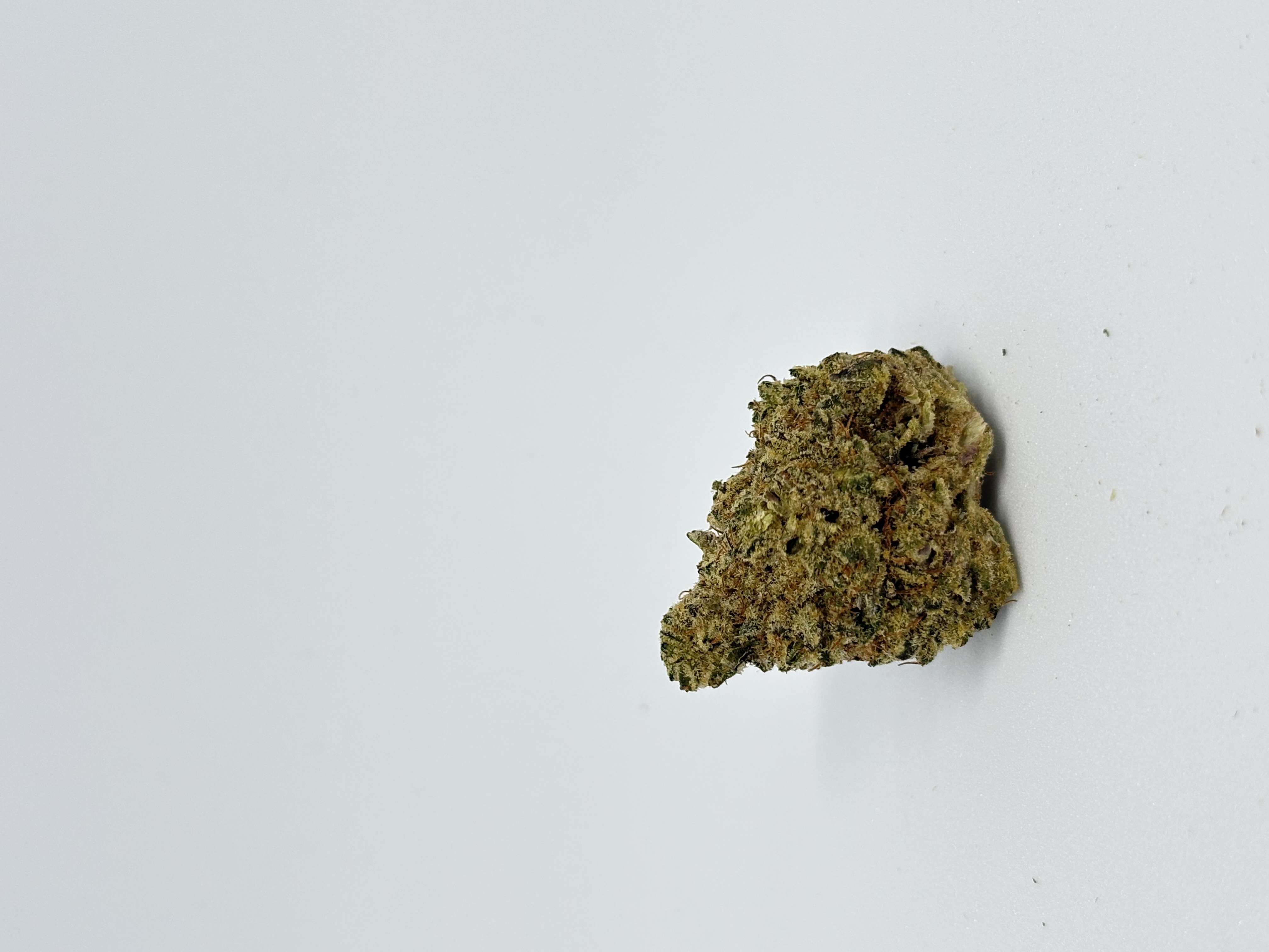 avaay Khalifa 28/1 KM von Miracle Valley — Cannabisblüte