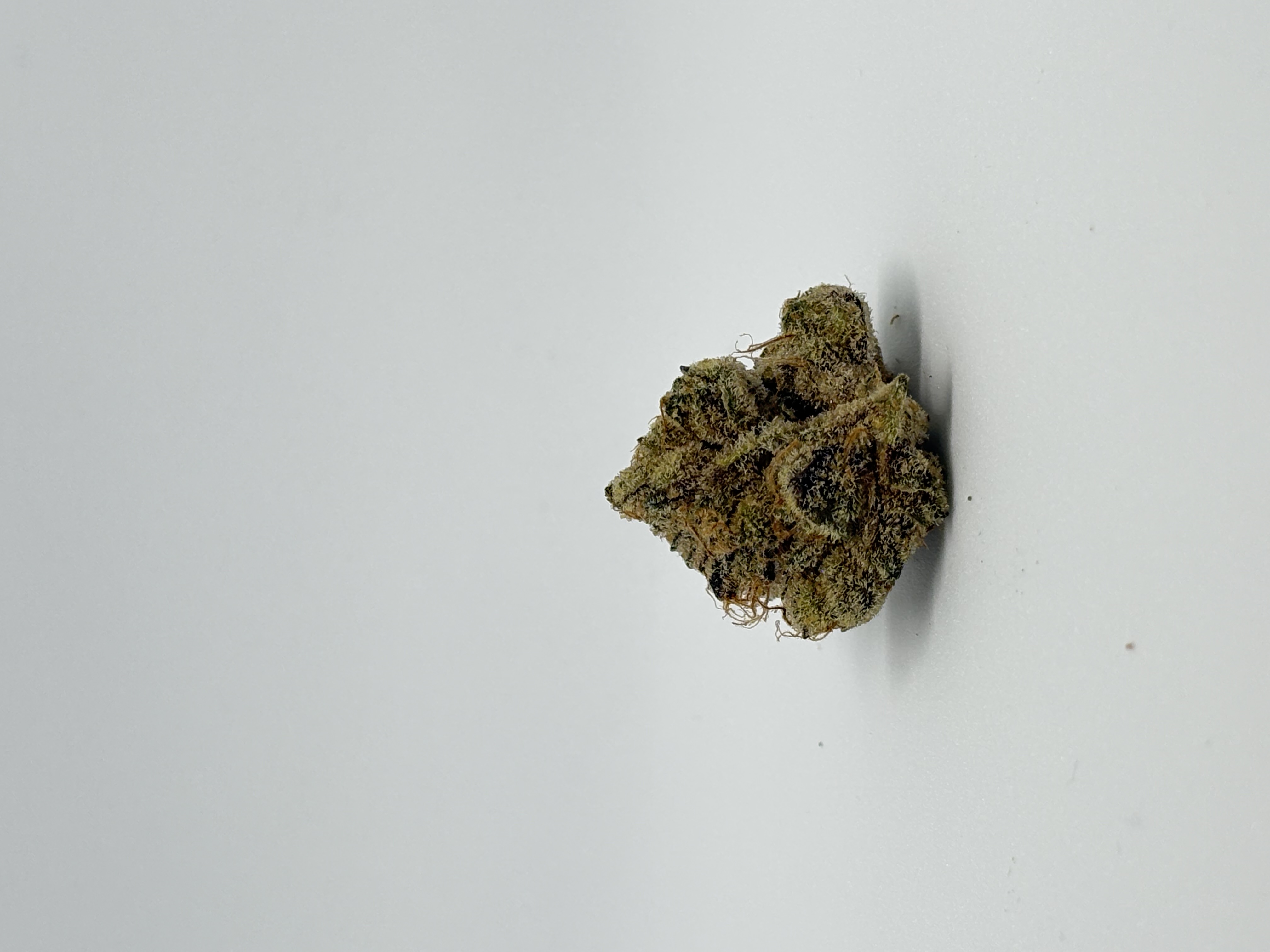aleph red 30/1 Hokuzai von alephSana — Medizinalcannabis auf Rezept