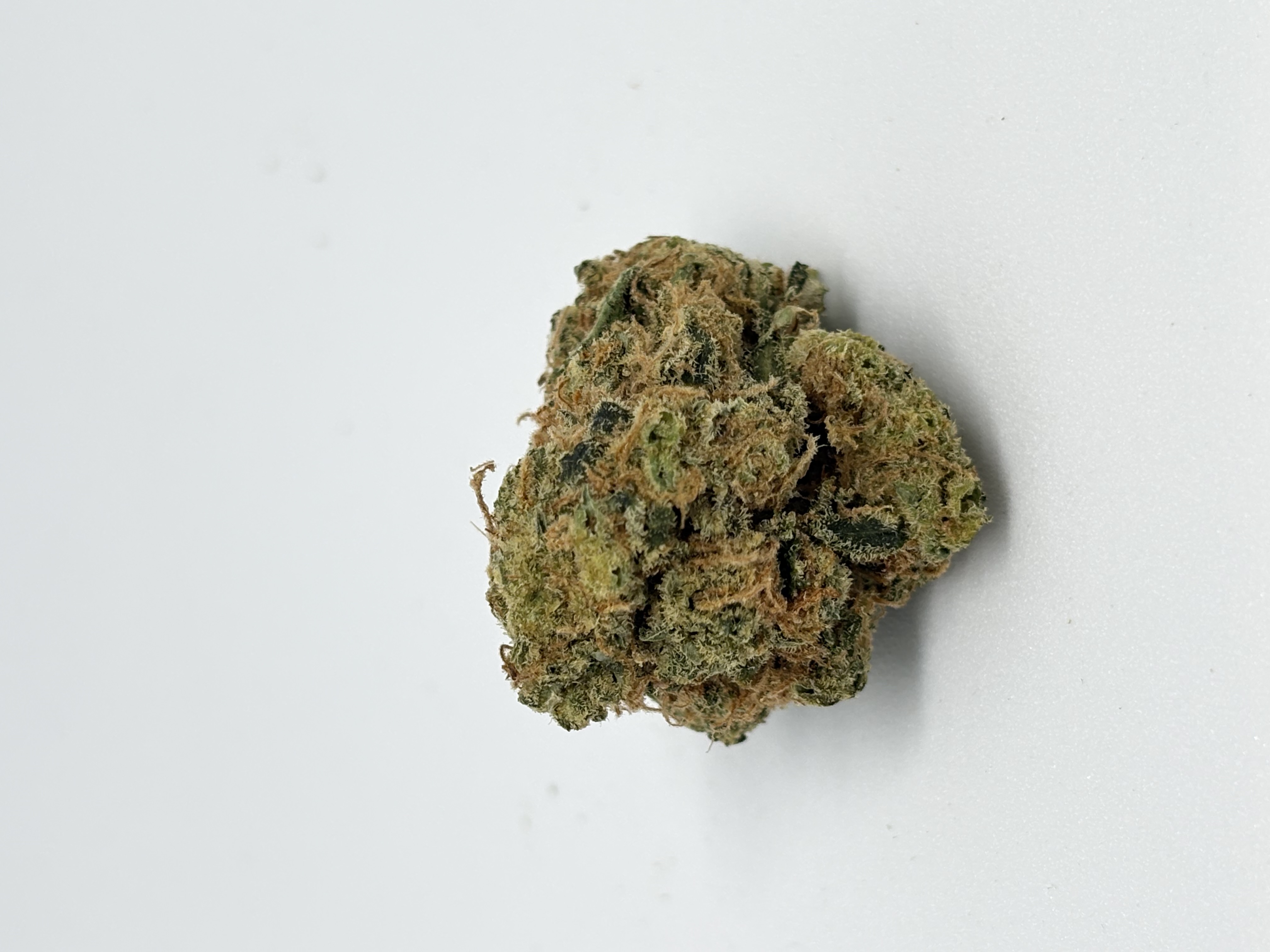 Origine Nature CHEM 29/1 Chemdawg OG von Origine Nature — Cannabisblüte