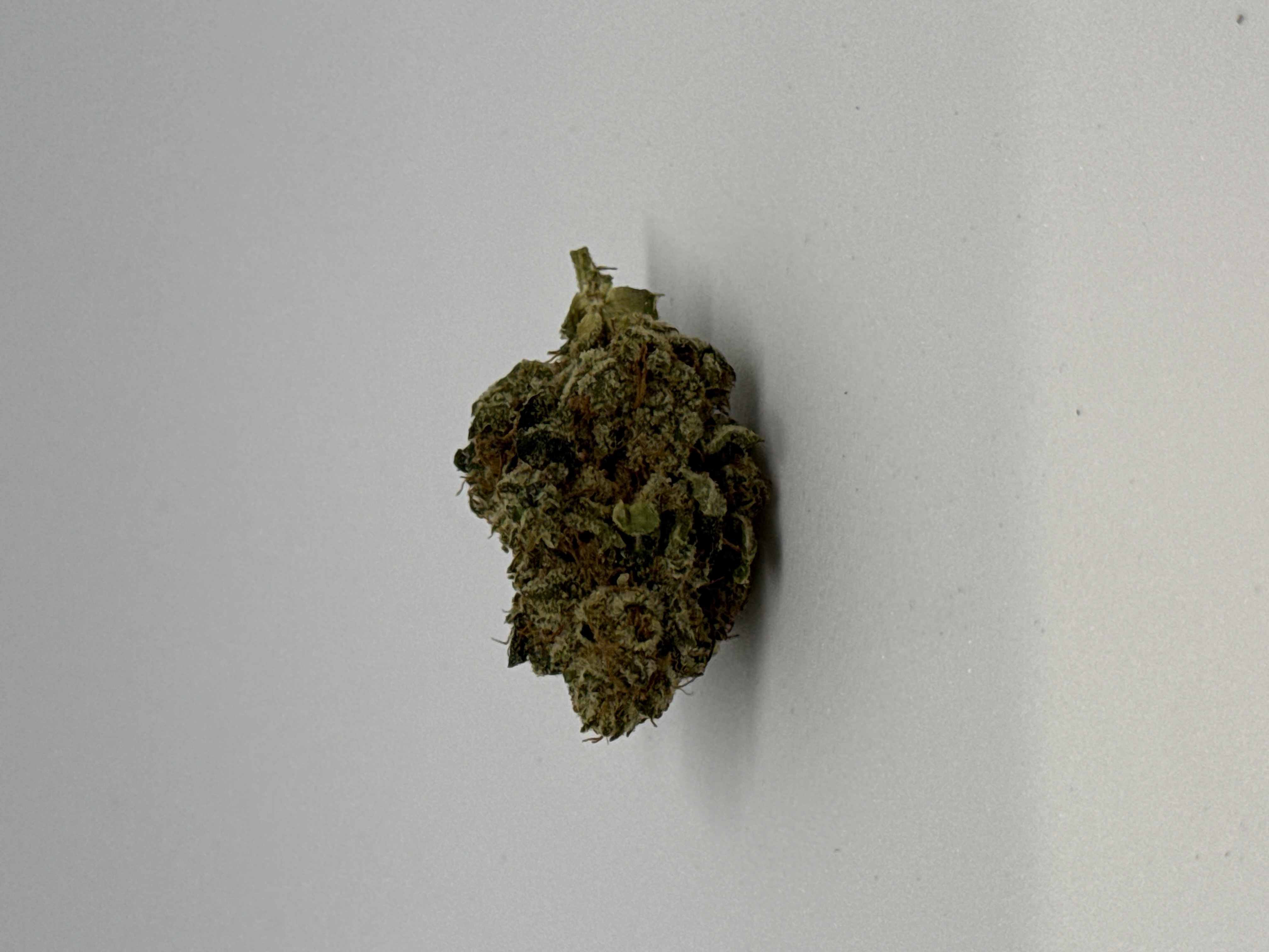 Bathera 35/1 PP von Bathera — Cannabisblüte