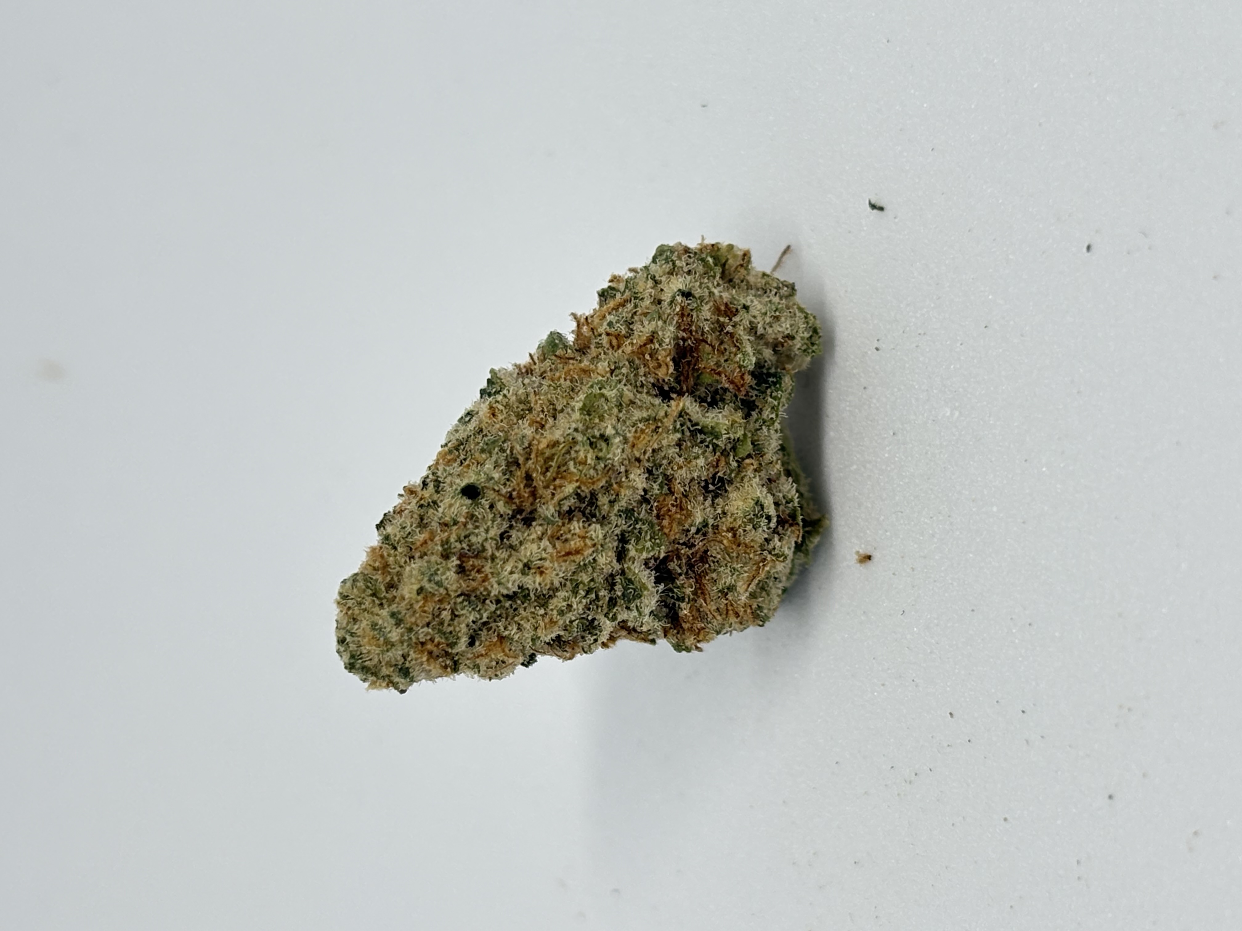 Demecan PS Strong Drop GMO x Han Solo Burger von Demecan — Cannabisblüte