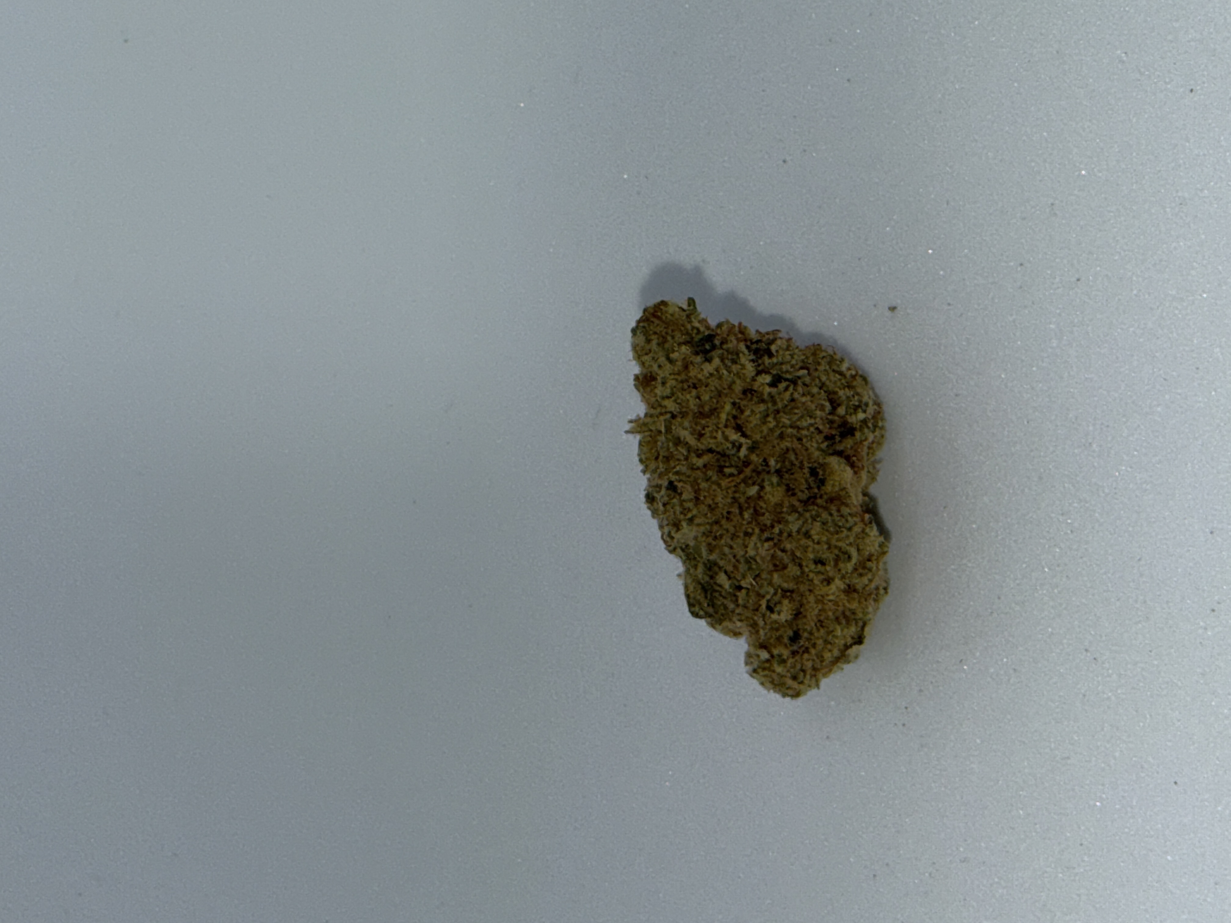 Cannamedical Hybrid Forte KA Citral Pop von Cannamedical — Cannabisblüte
