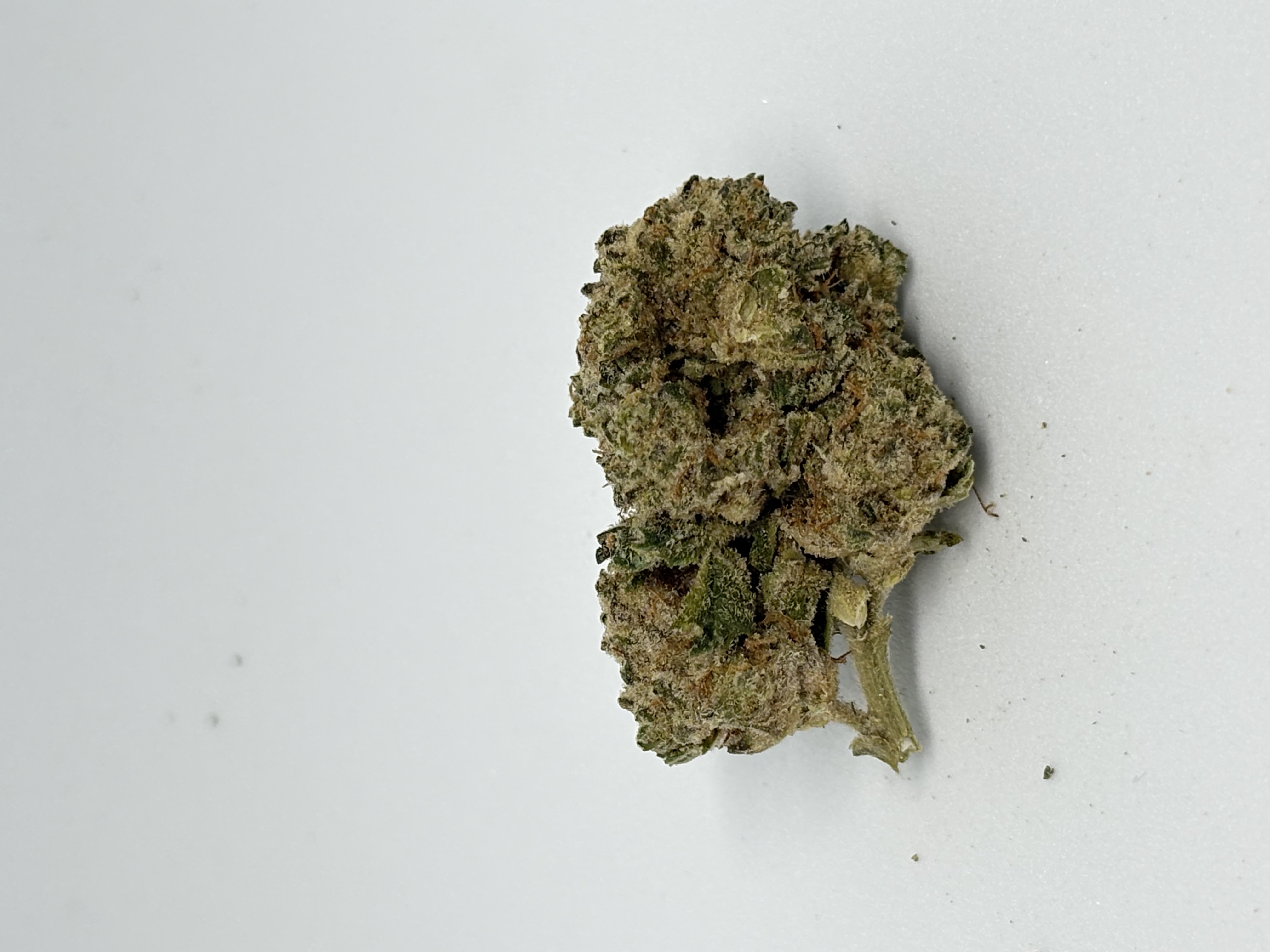 Huala 30/1 CA DBC Durban Cherry von Four 20 Pharma — Cannabisblüte