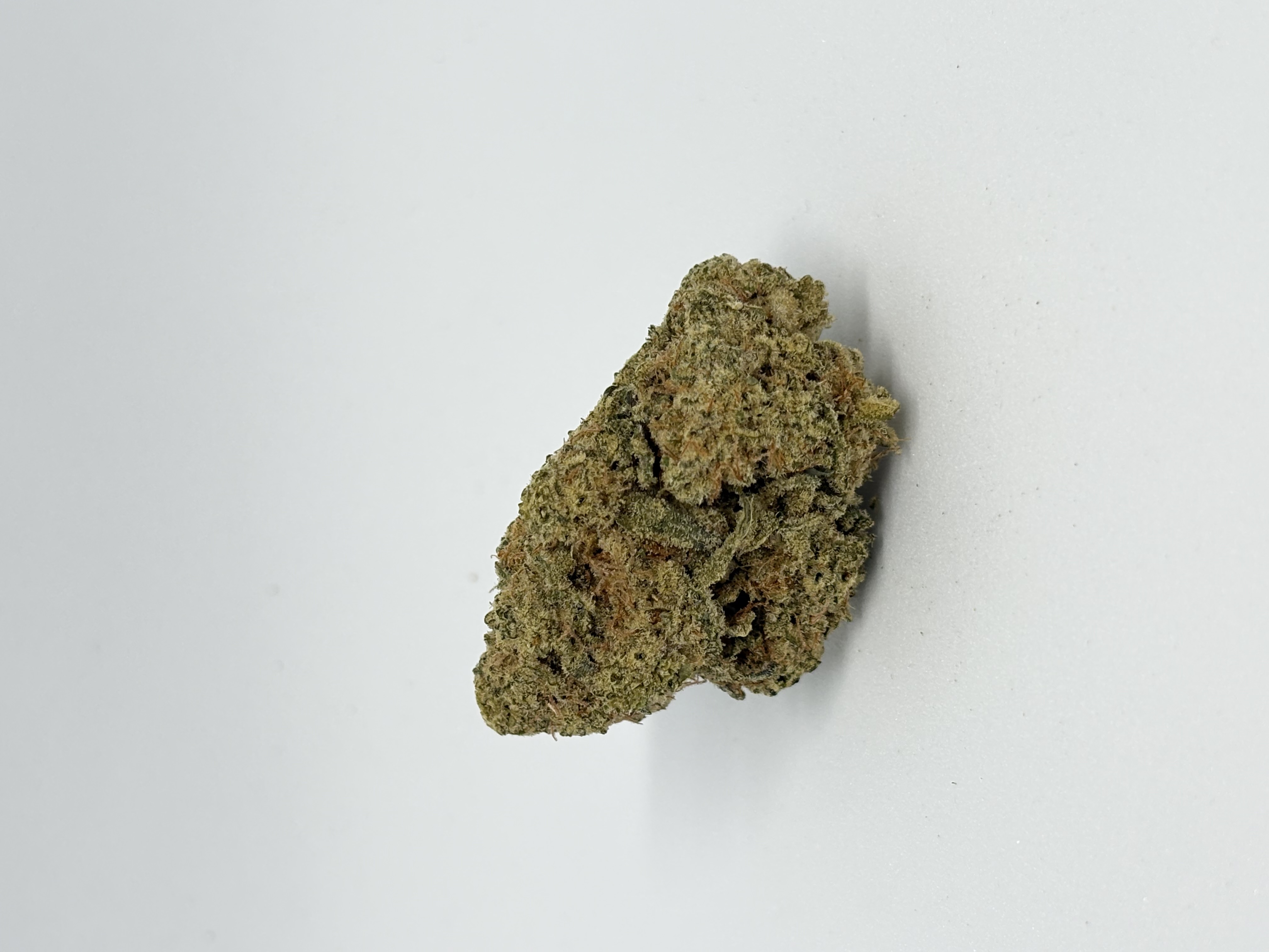 Luana 24/1 Macz von Cannamedical — Cannabisblüte