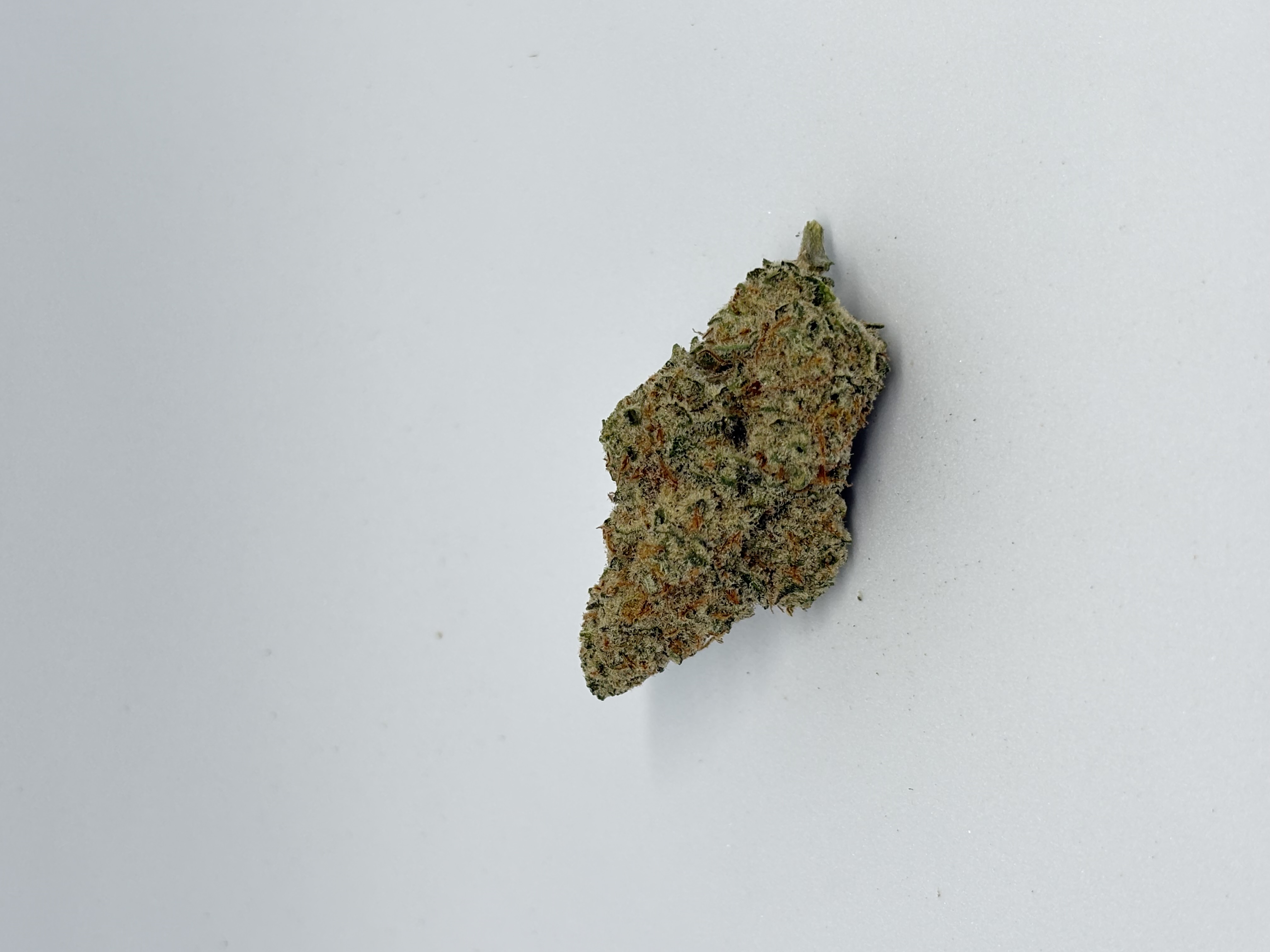 Luana 27/1 Donny B von Cannamedical — Cannabisblüte