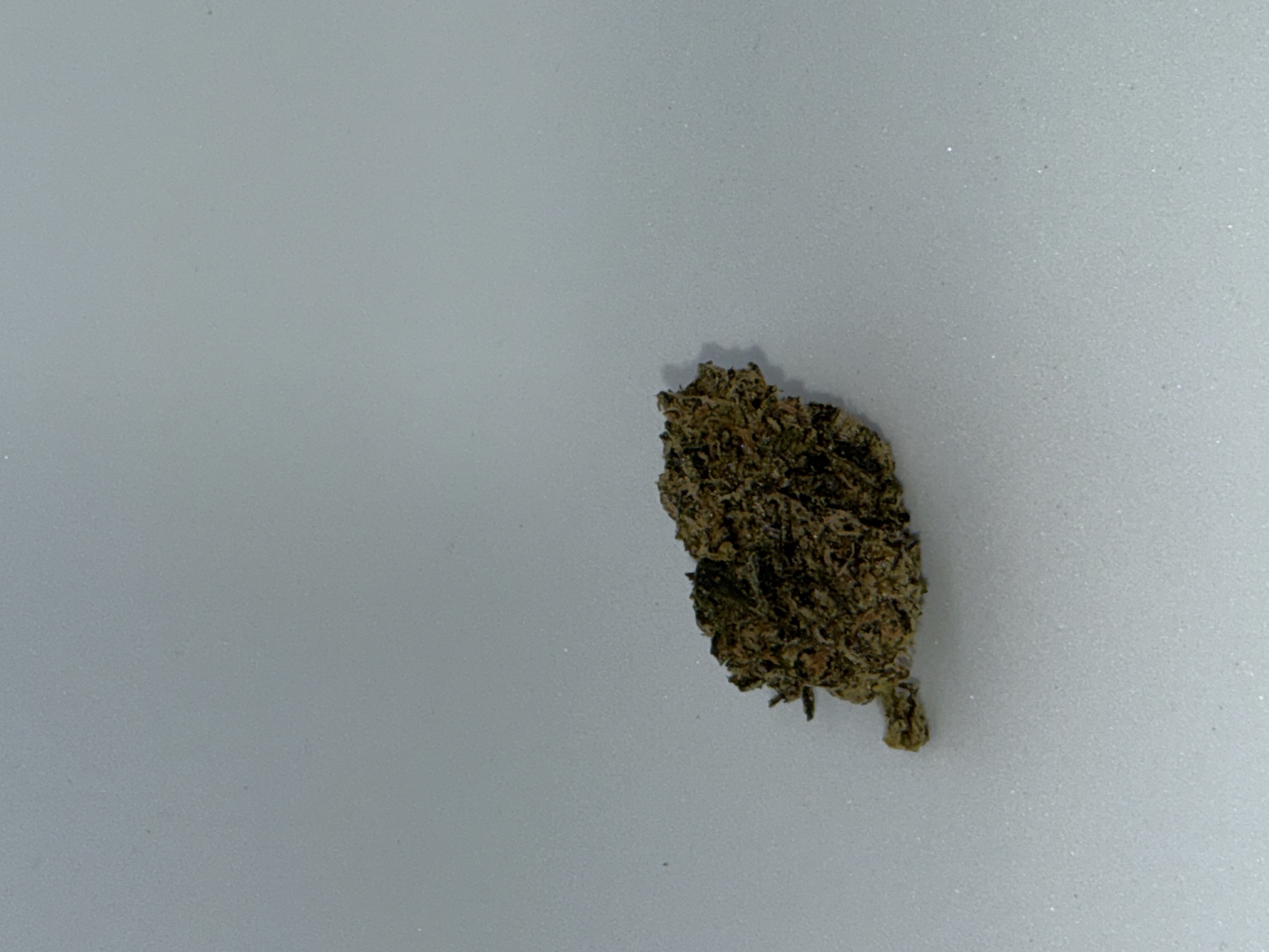Cannamedical CM 28/1 Craft Lotus von Cannamedical — Cannabisblüte