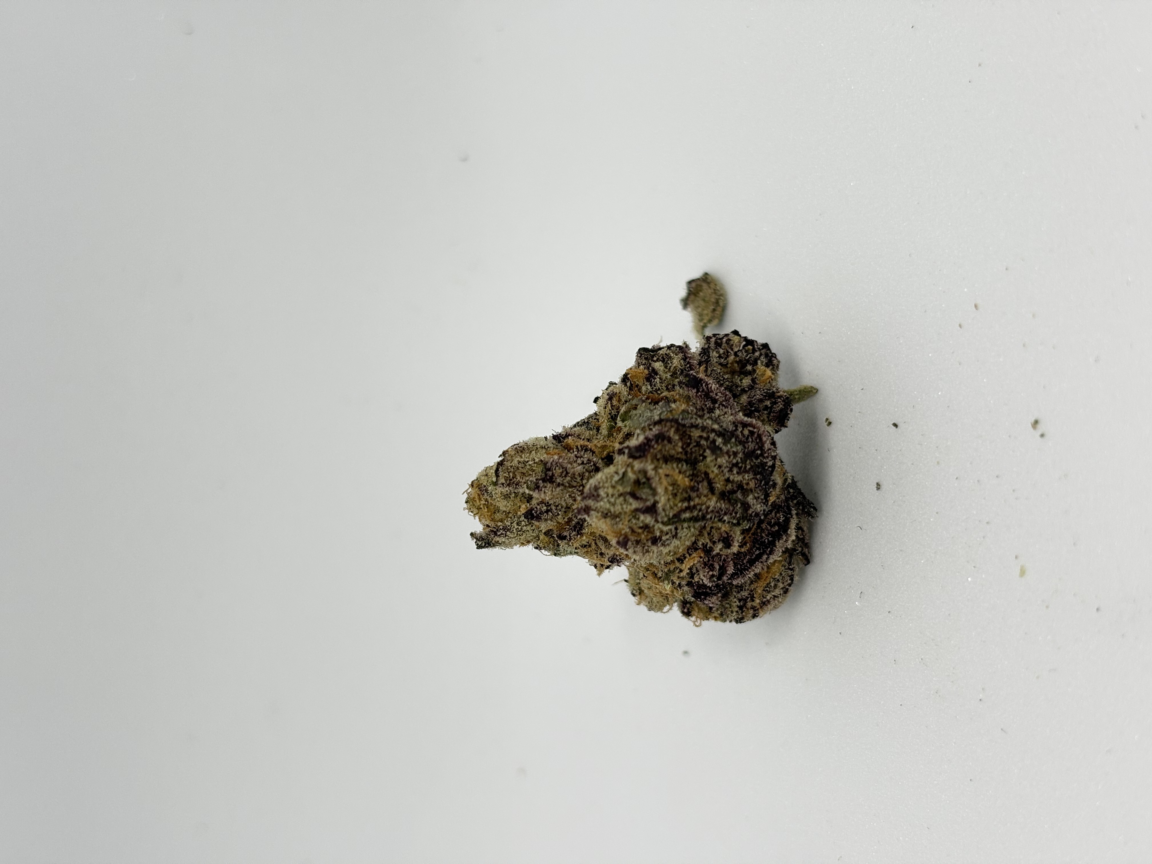 avaay SIGNATURE 23/1 BYY von avaay — Cannabisblüte