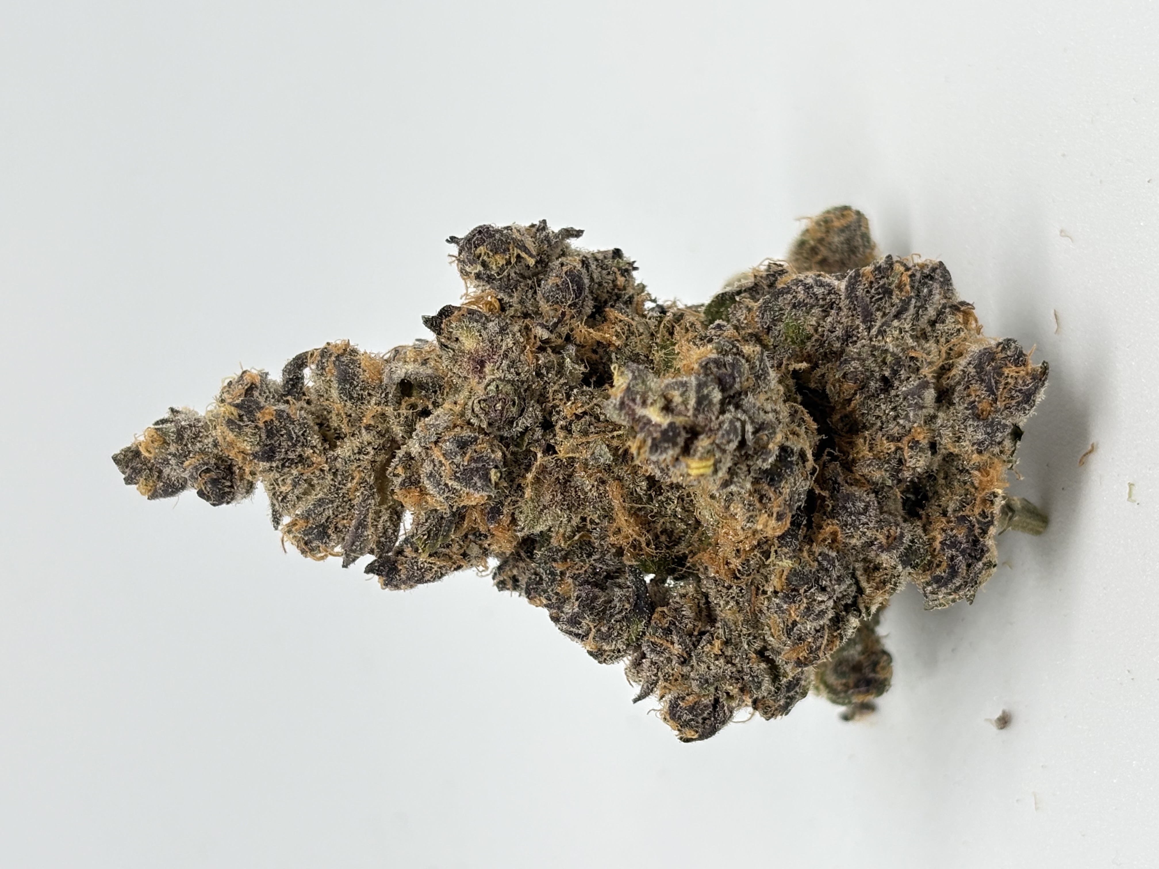 gramz. 001 SB 25/1 Super Boof von Cantourage — Cannabisblüte