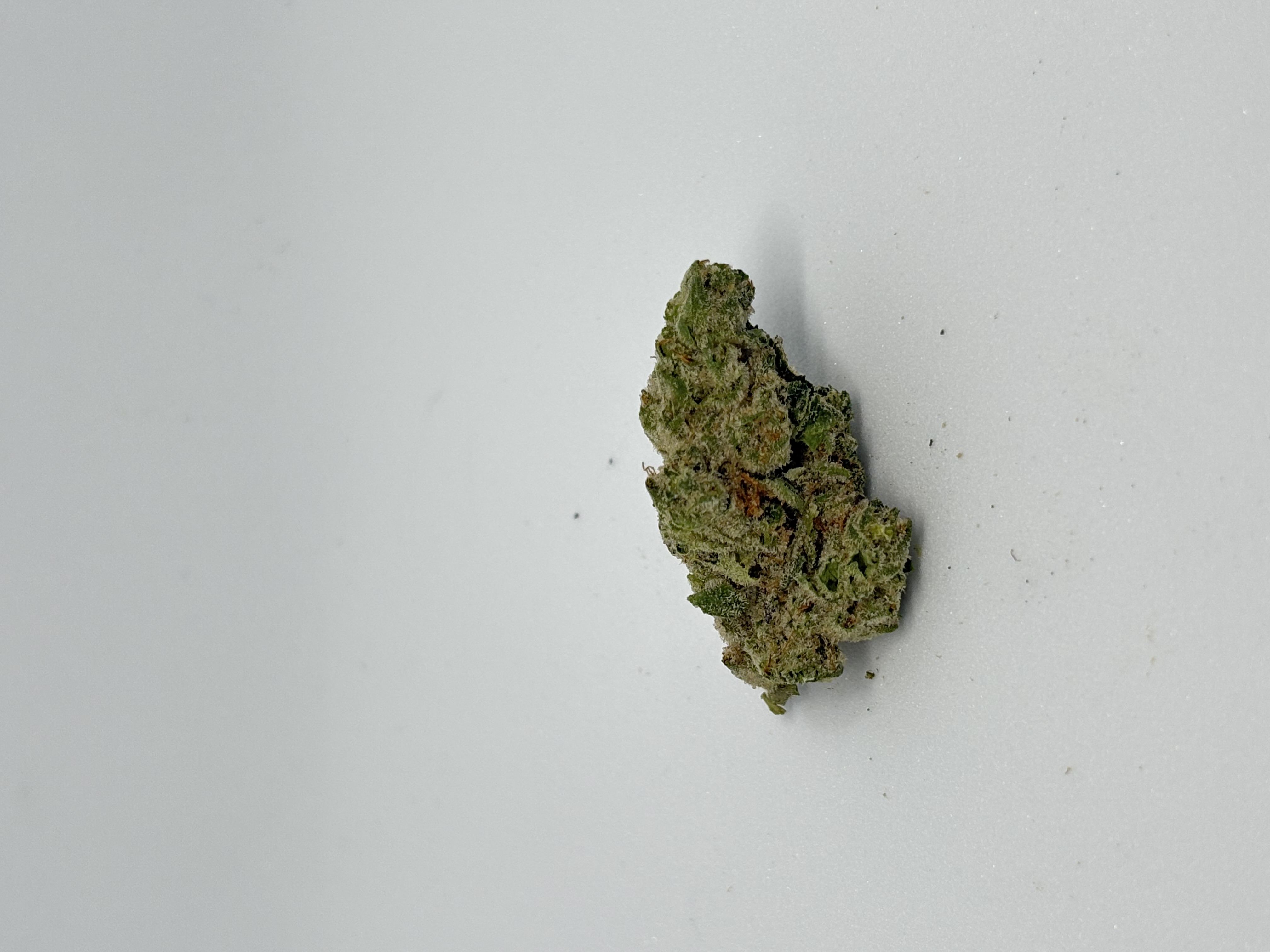 avaay 32/1 AHC Amnesia Haze Cake von Lyonleaf — Cannabisblüte