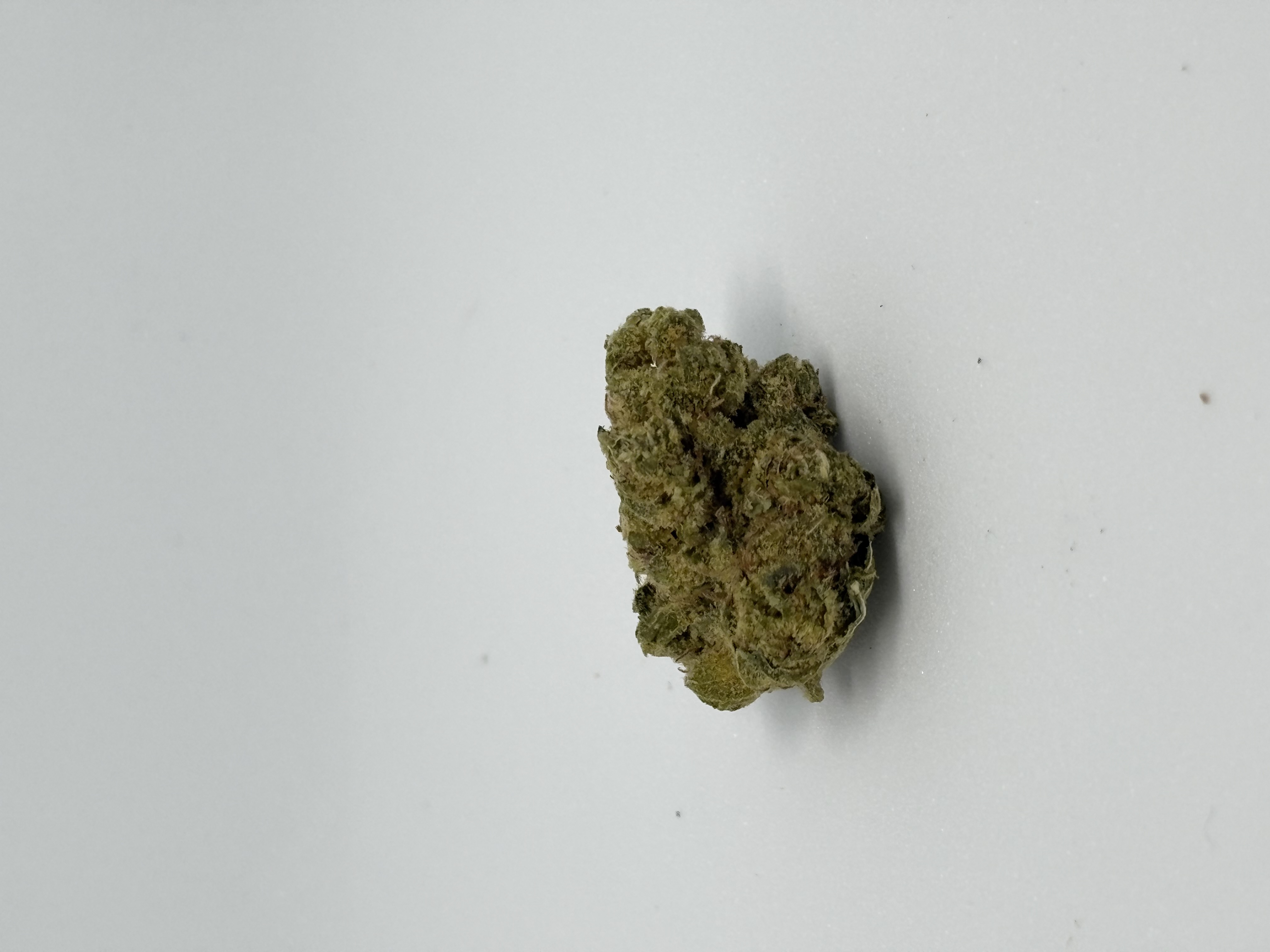 A+ KINEO CRAFT No.1 30/1 Hash Burger von Kineo Medical — Cannabisblüte