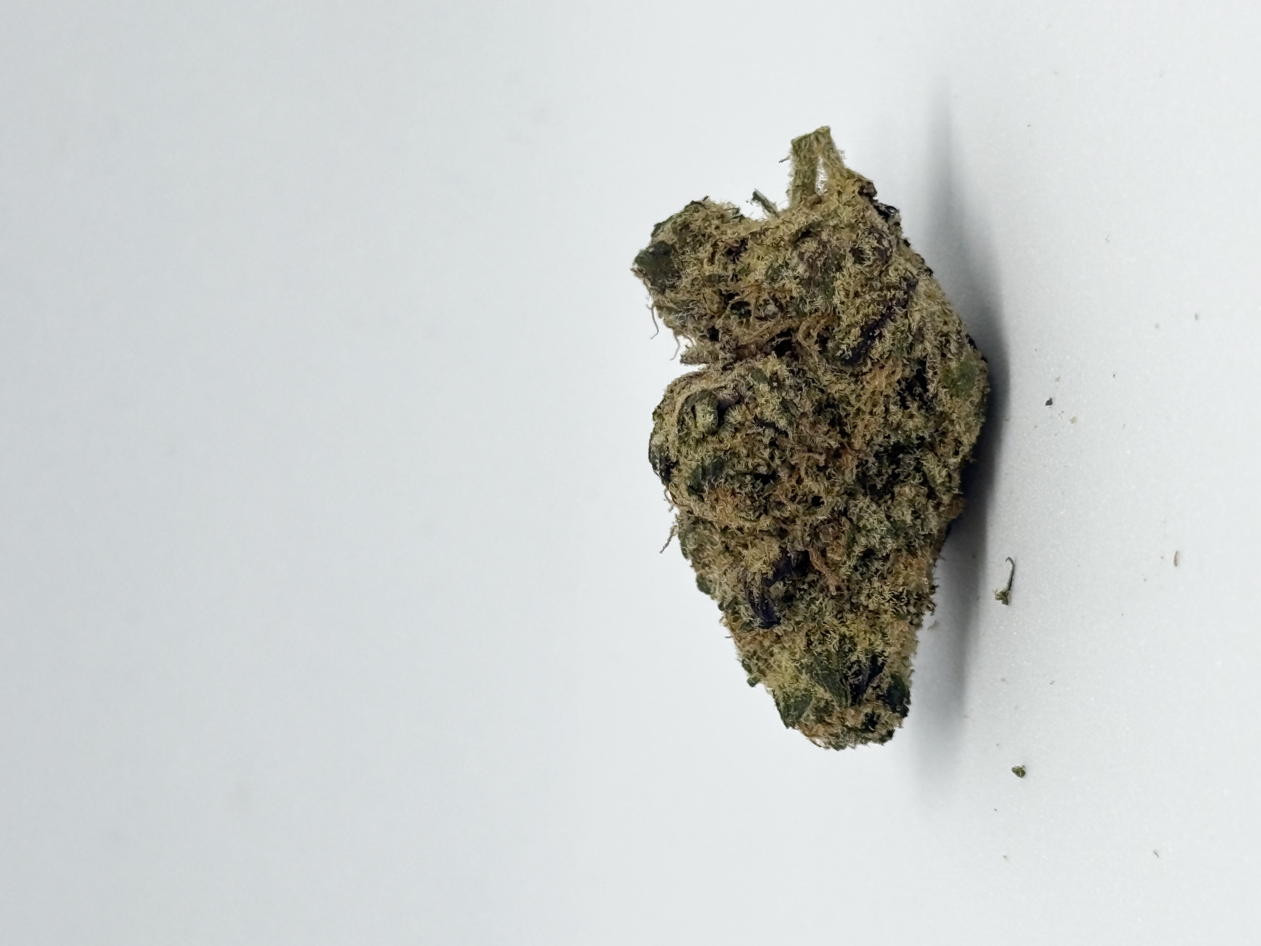 AMP ACT-GM TCG THC20 Trop Cherry Gas von AMP — Medizinalcannabis auf Rezept