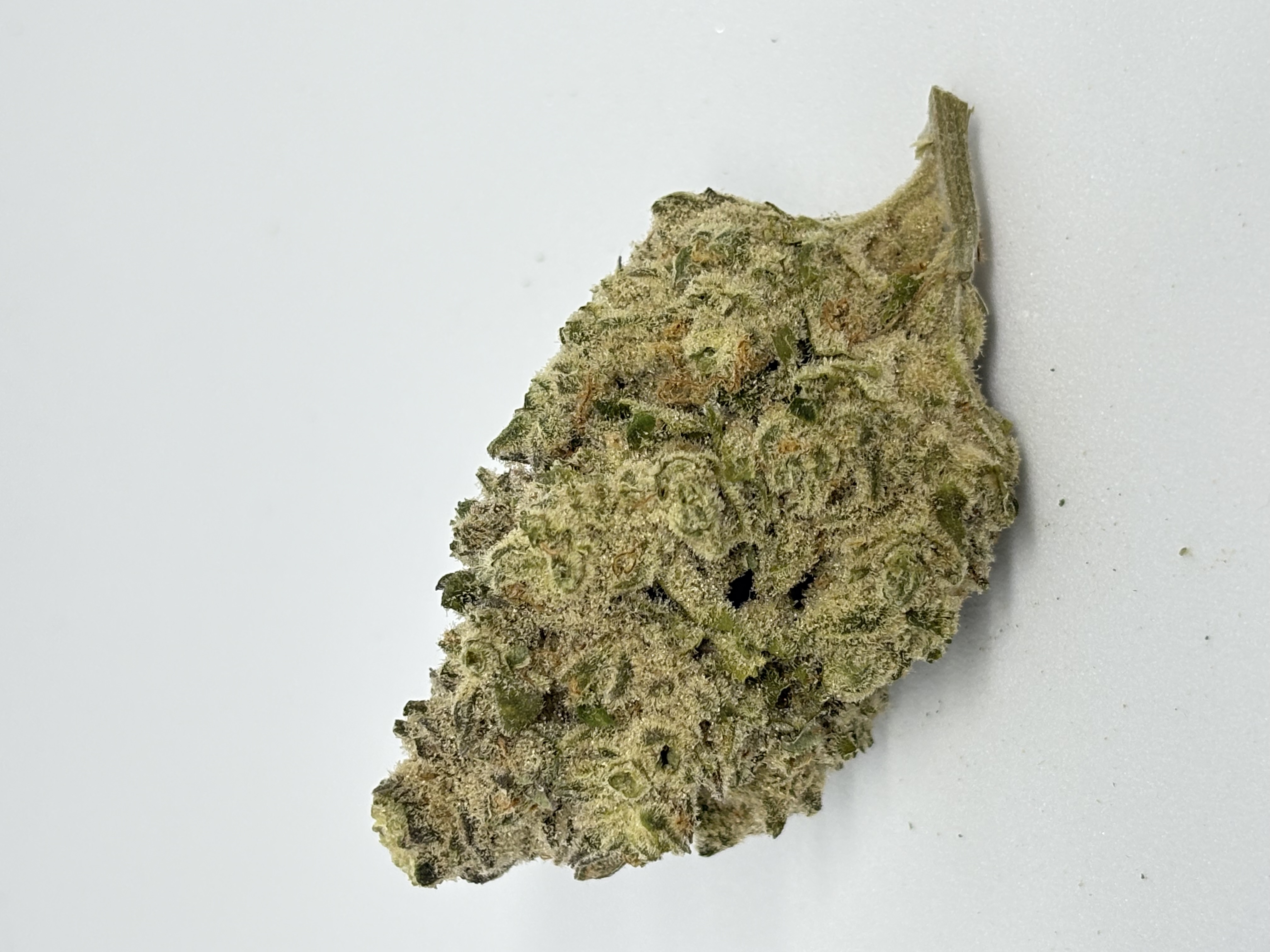 enua 22/1 PS3 BCP CA von enua Pharma — Cannabisblüte