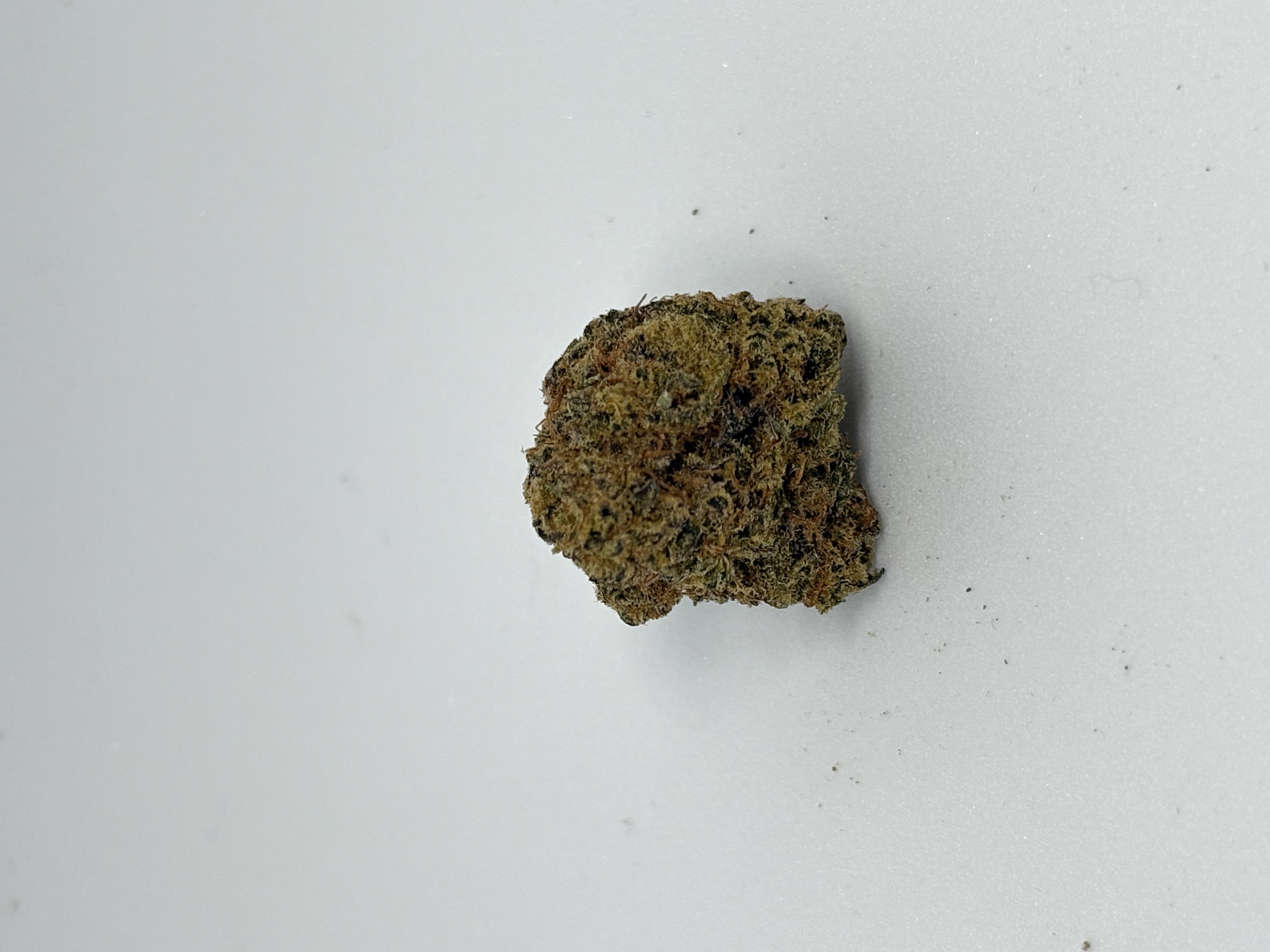 Cresco RSE 27/1 Jack Black von Cresco — Cannabisblüte