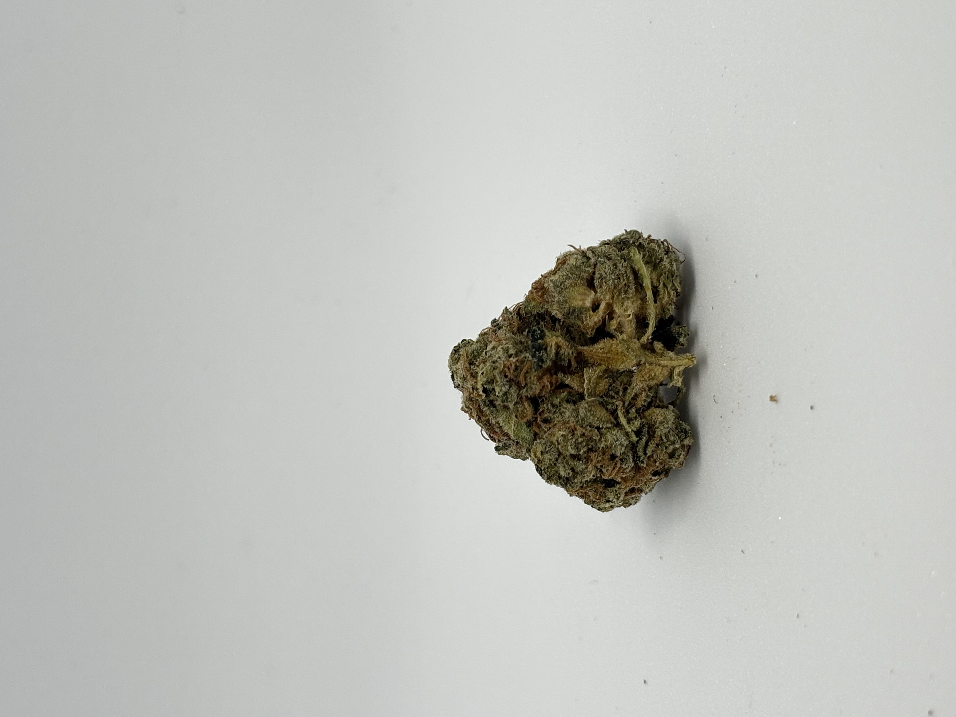 AphriaRX THC28 PPV Platinum Pave #34 von Tilray — Cannabisblüte