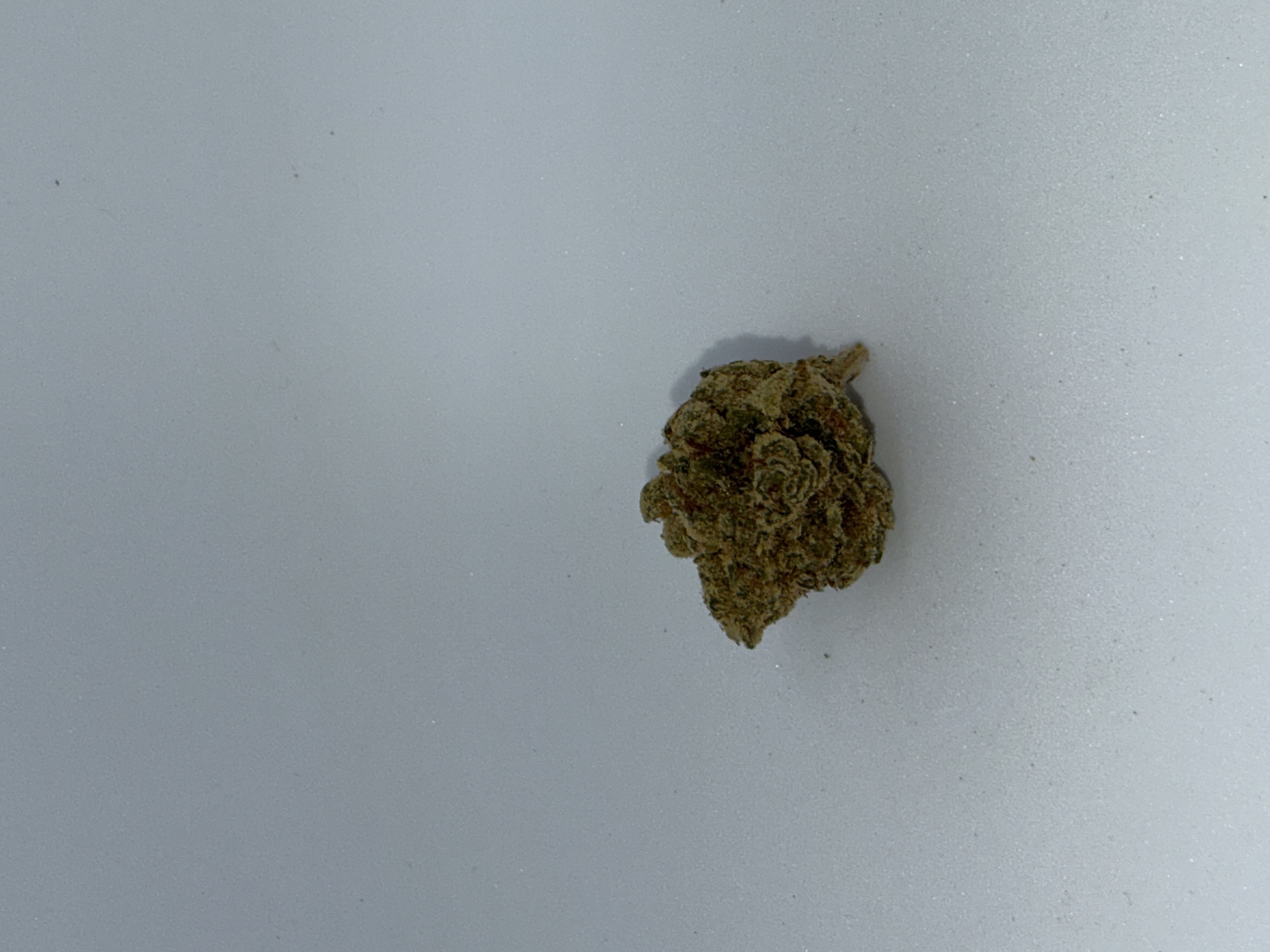 Cannamedical Hybrid Forte KA Gelato Lemon von Cannamedical — Cannabisblüte