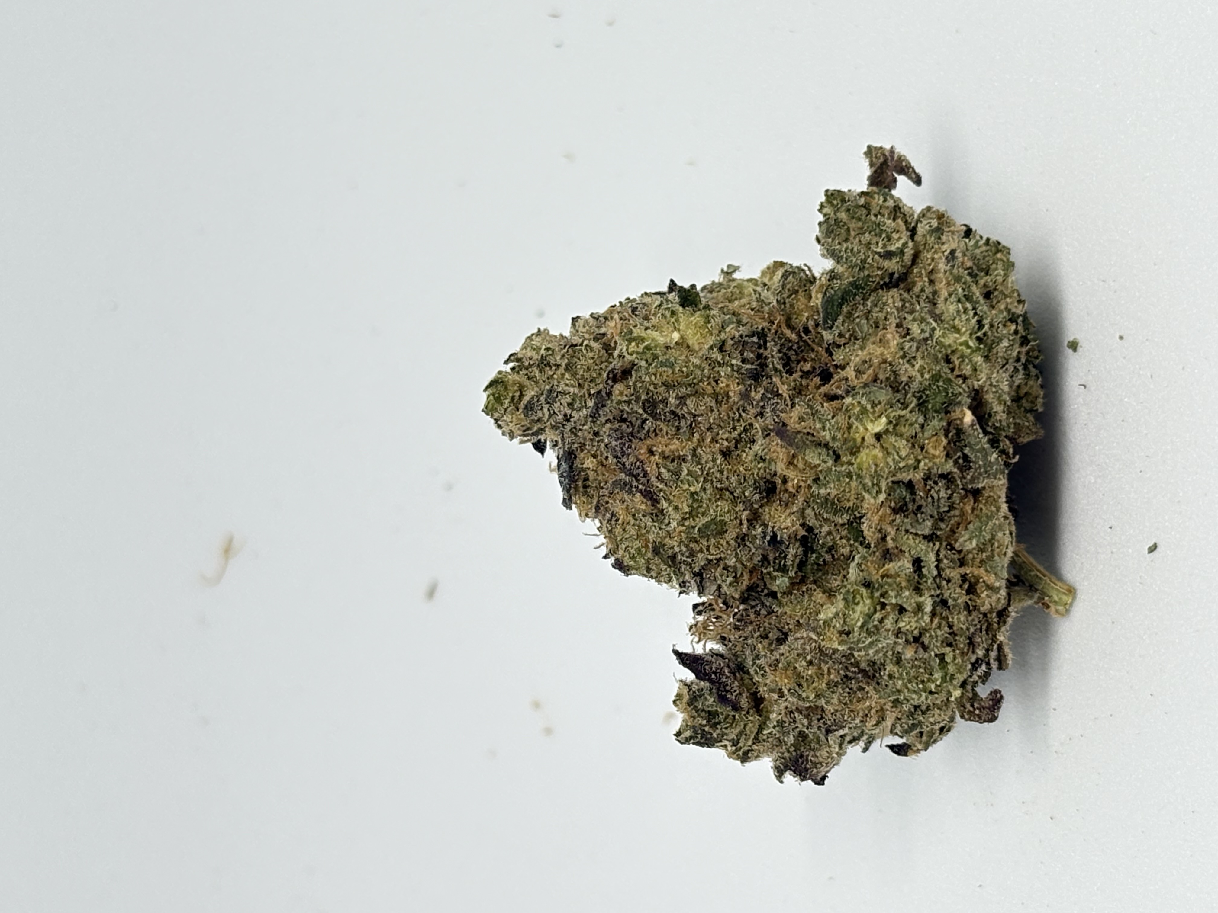 gramz. 002 RC 30/1 Rainbow Cake von Cantourage — Cannabisblüte