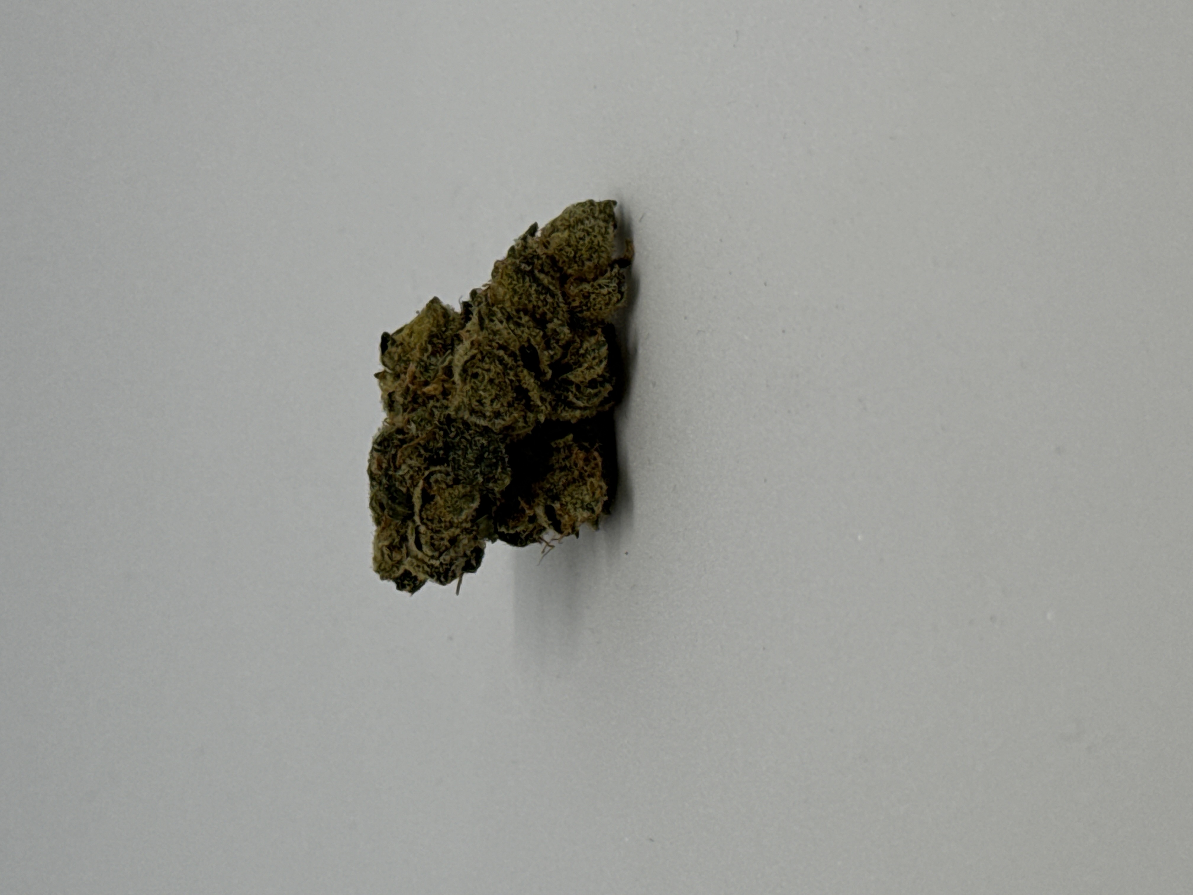 Bathera 30/1 FA von Bathera — Cannabisblüte