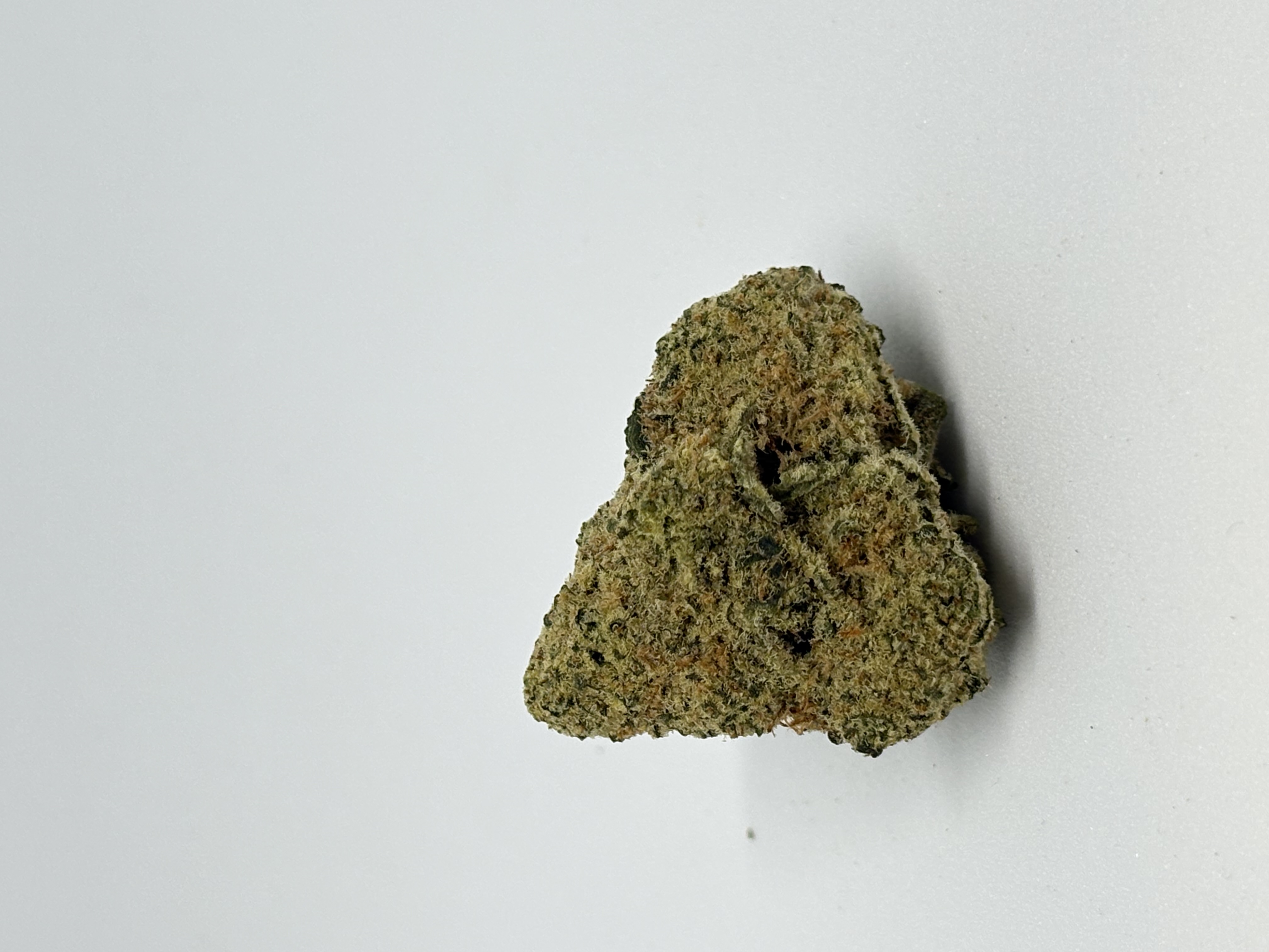 GrowMotion TJ27 von GrowMotion — Cannabisblüte