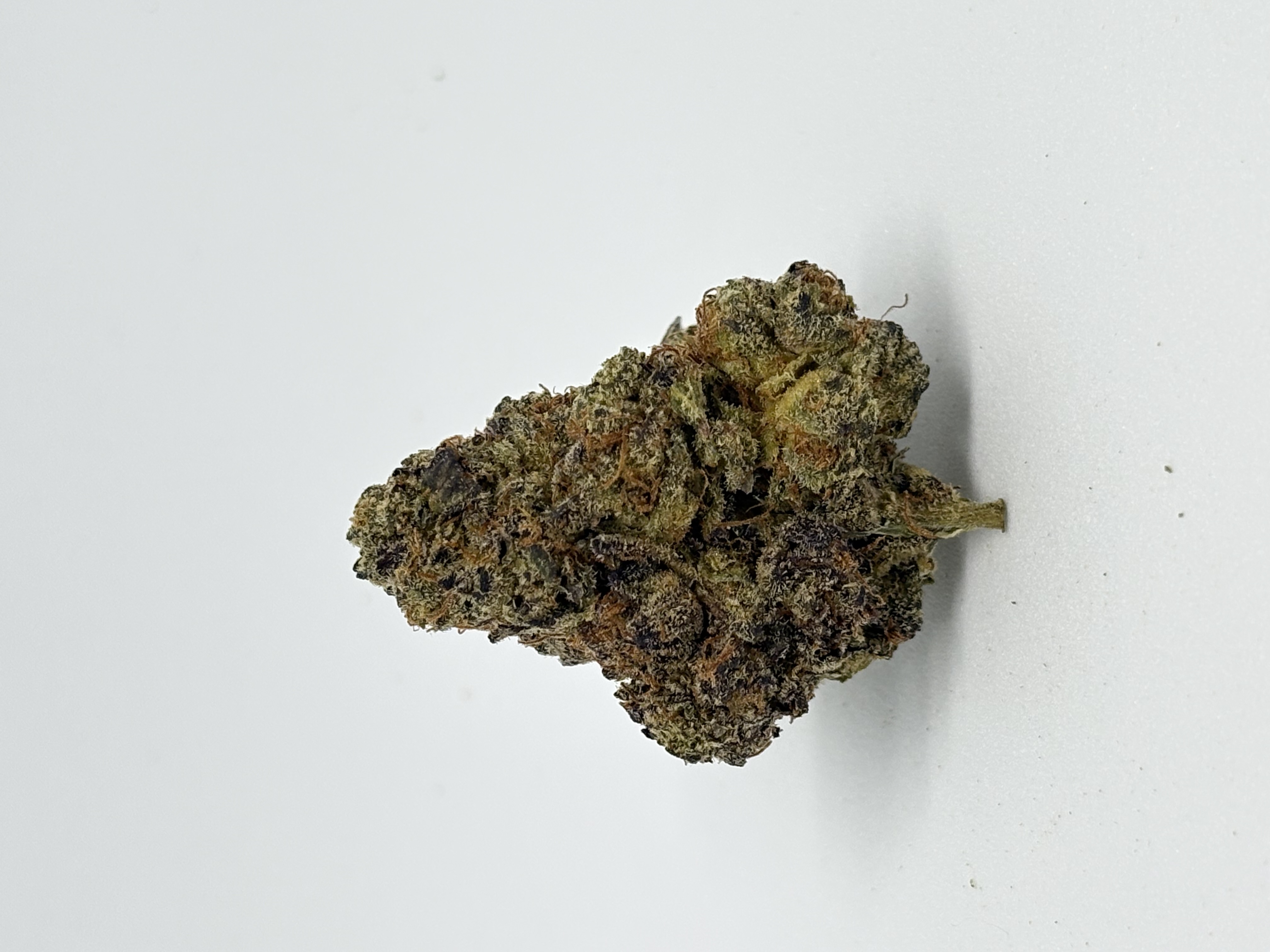 Legend's RP 34/1 Rainbow Pavé von Cantourage — Cannabisblüte