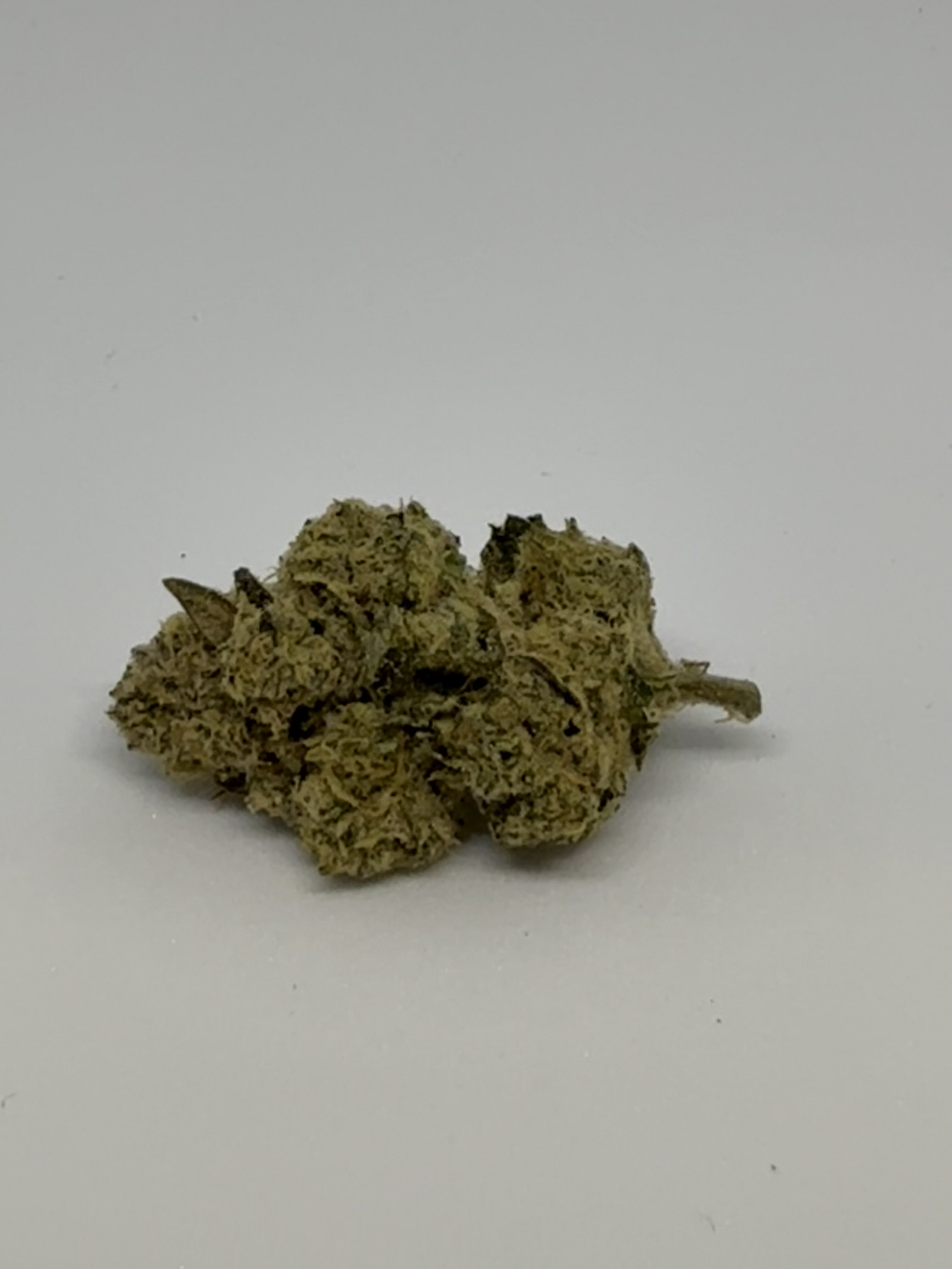 Cannamedical Sativa Ultra NM Polar Cookies von Cannamedical — Cannabisblüte