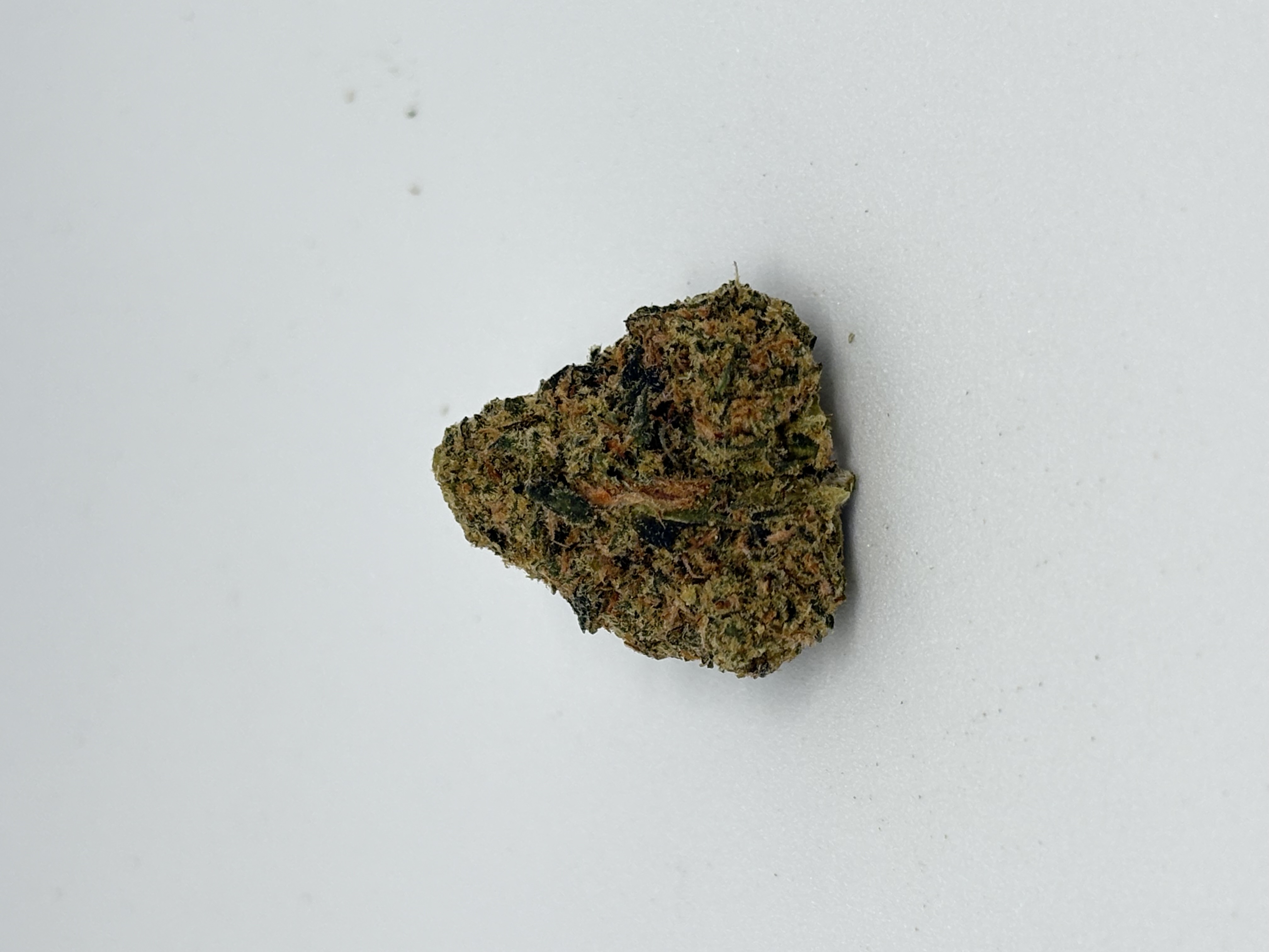 Ostara GC 25/1 von Cantourage — Cannabisblüte