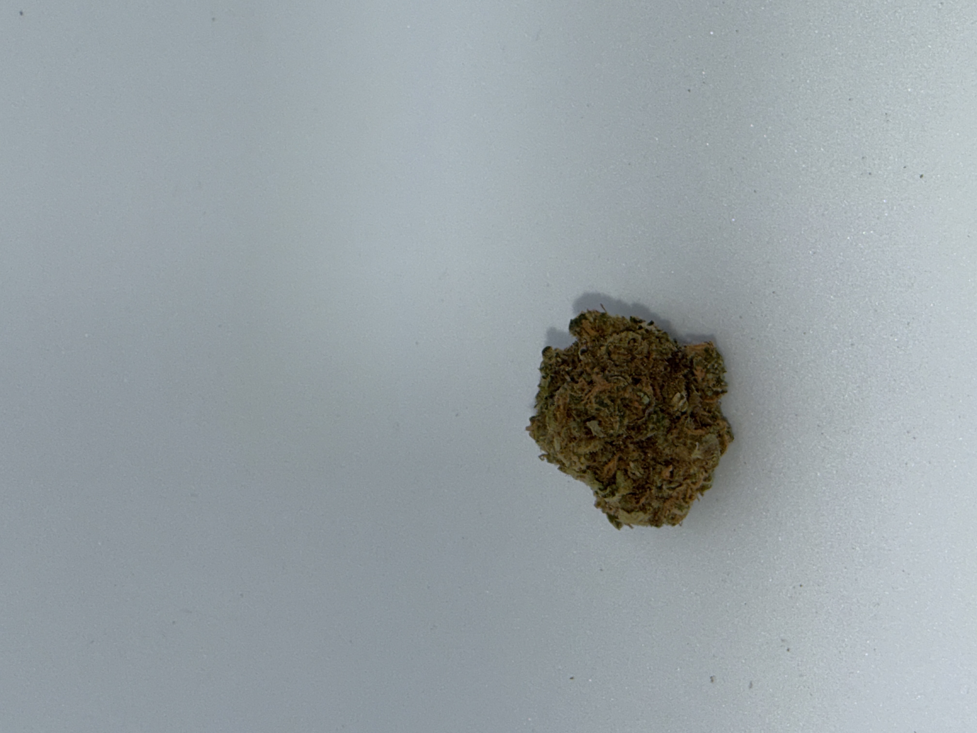 Cannamedical Hybrid Forte 24/1 Garlic Truffle von Cannamedical — Cannabisblüte
