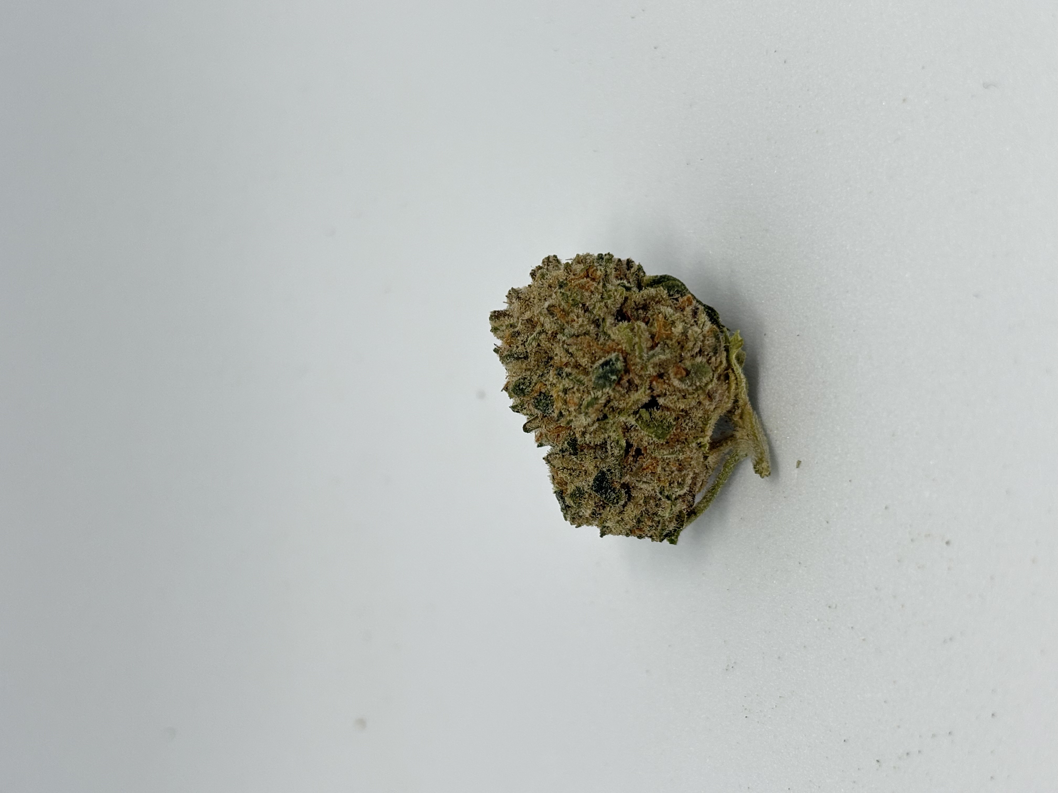 Luana 28/1 Durban Poison von Cannamedical — Cannabisblüte