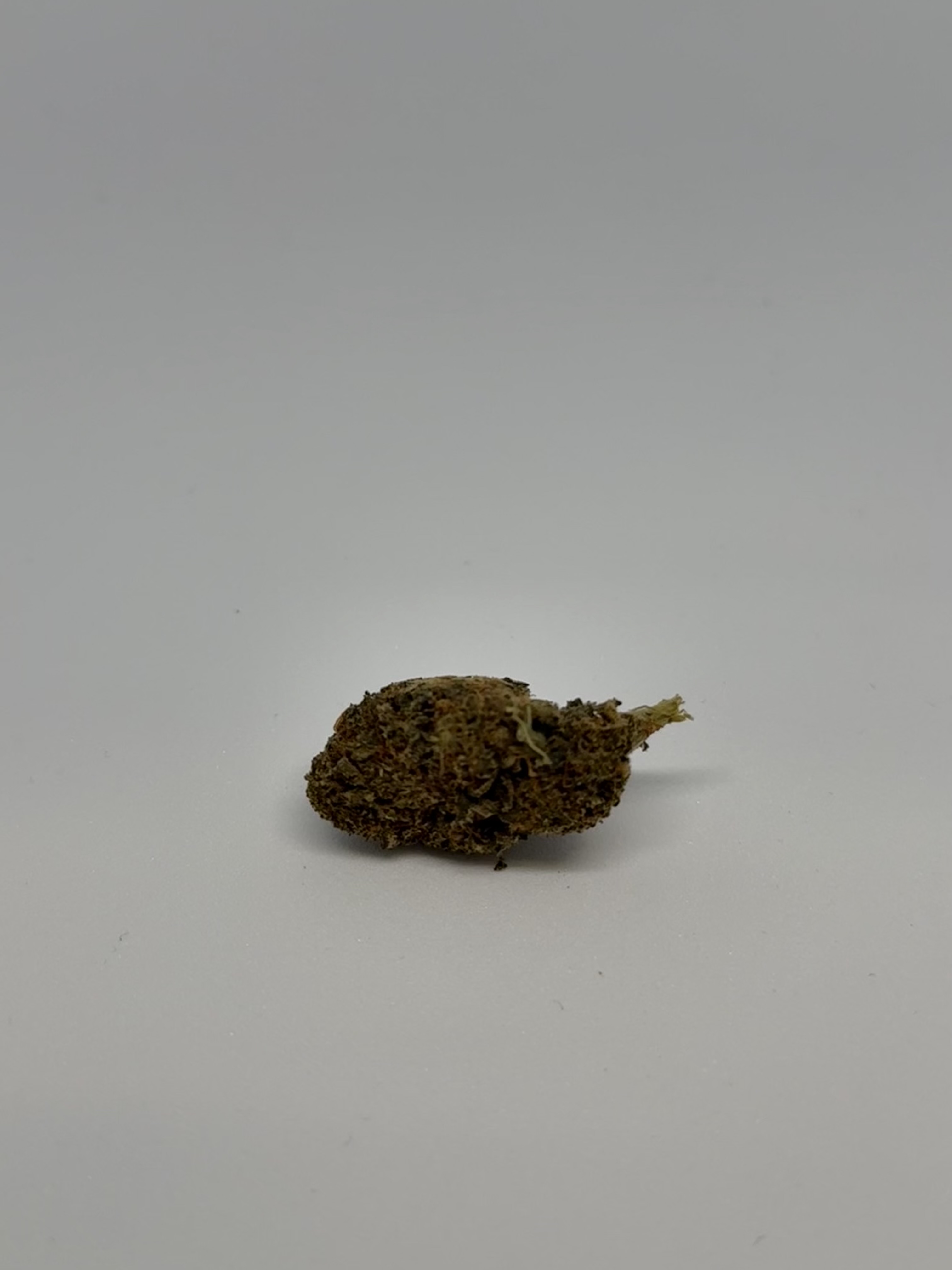 CannXChange CC 25/1 Cheddar Cheeze von Cantourage — Cannabisblüte