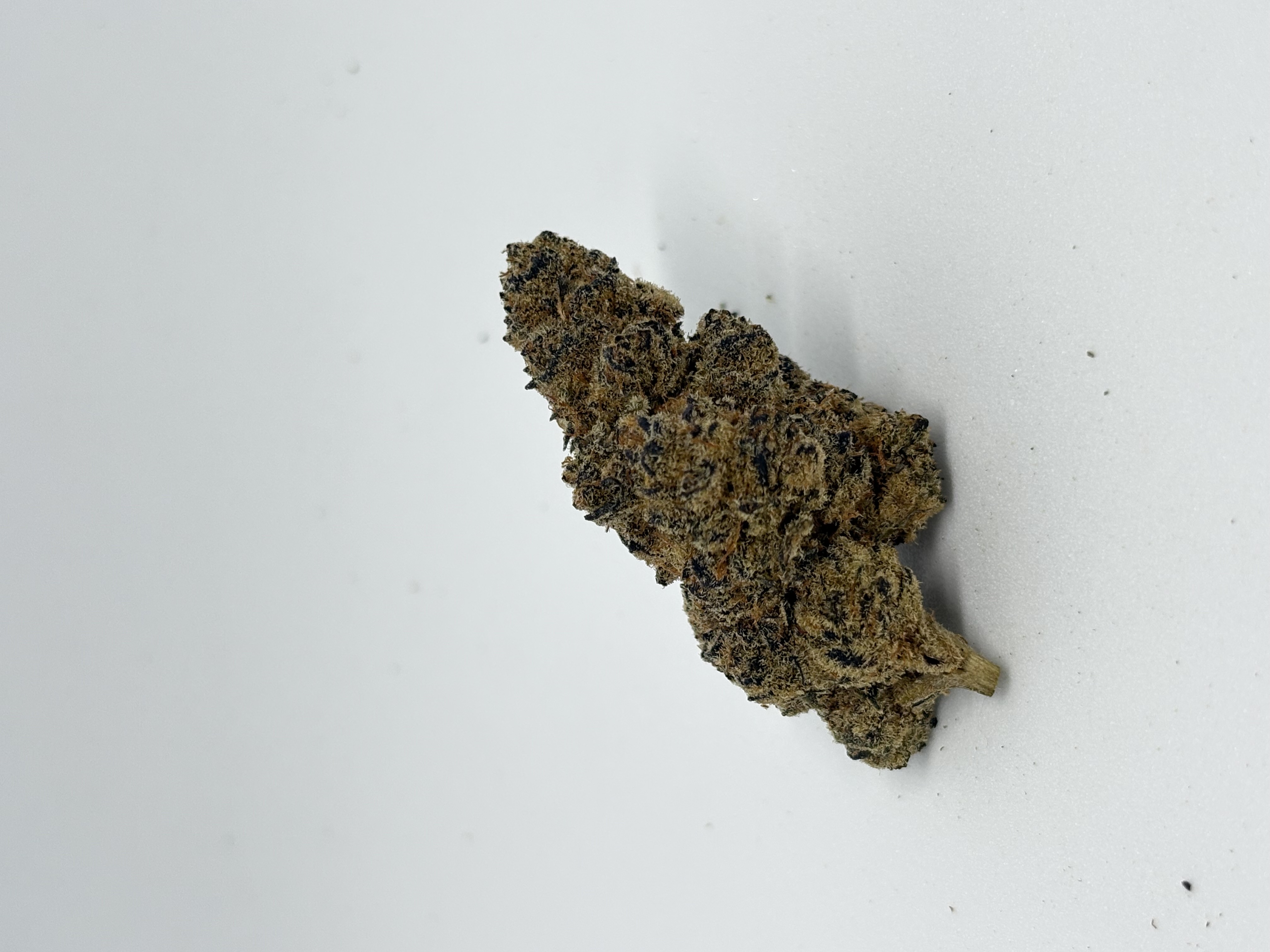 LOT 420 - Greyscales AM 21/1 Animal Mints von LOT 420 — Cannabisblüte