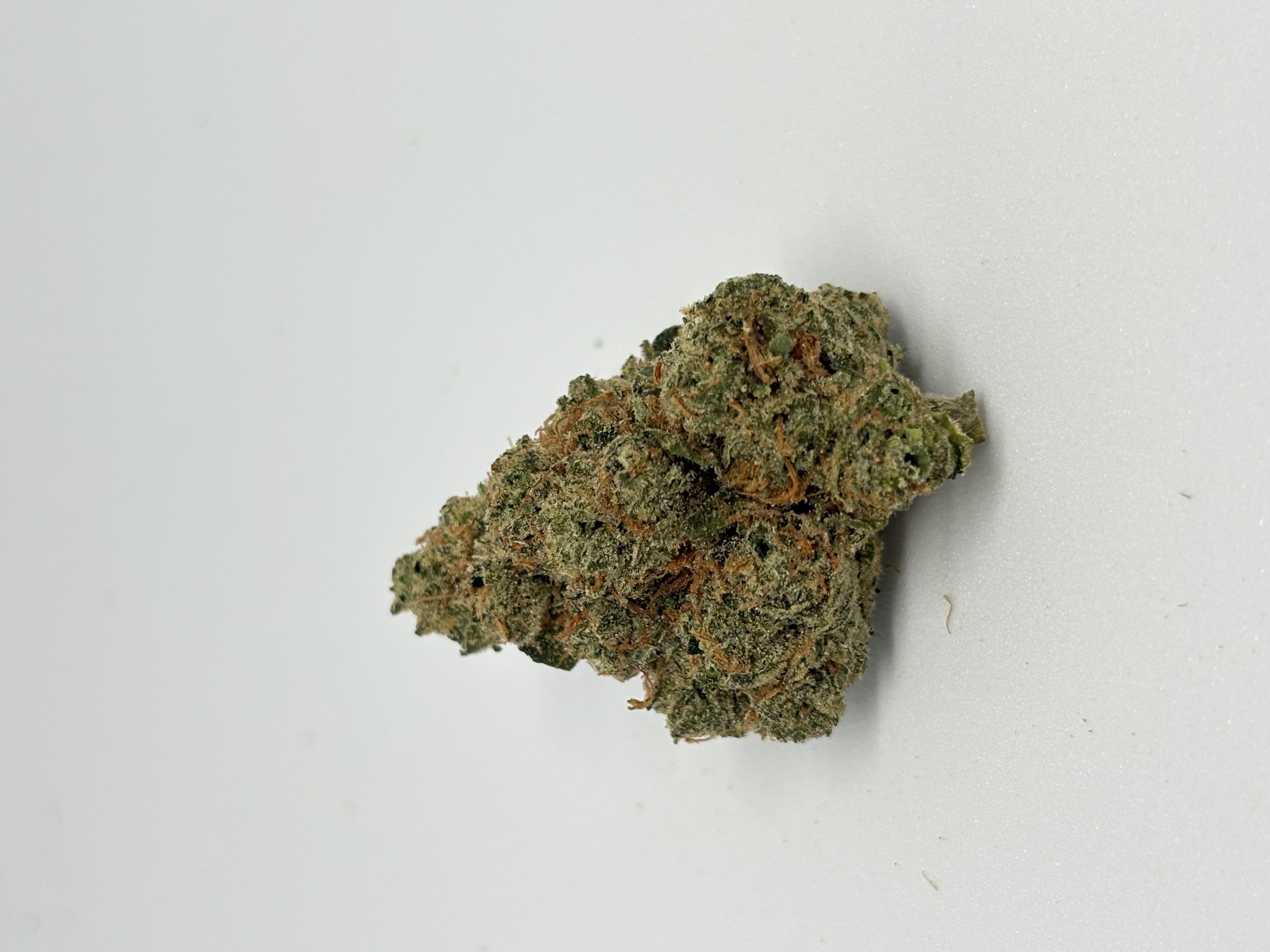 God Cherry Gusher von LUANA — Cannabisblüte