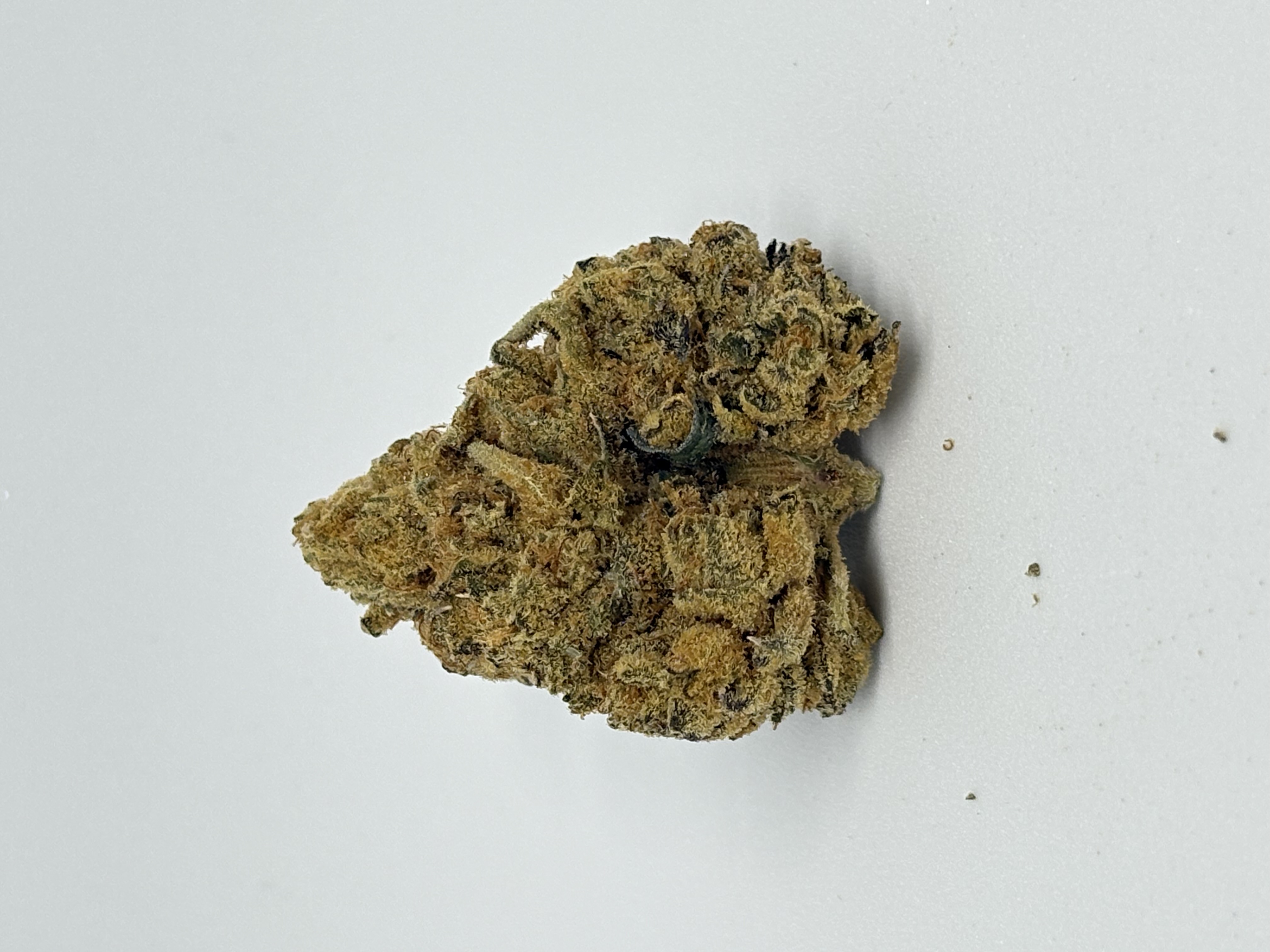 Green Karat PV Pavé S1 von Green Karat — Cannabisblüte