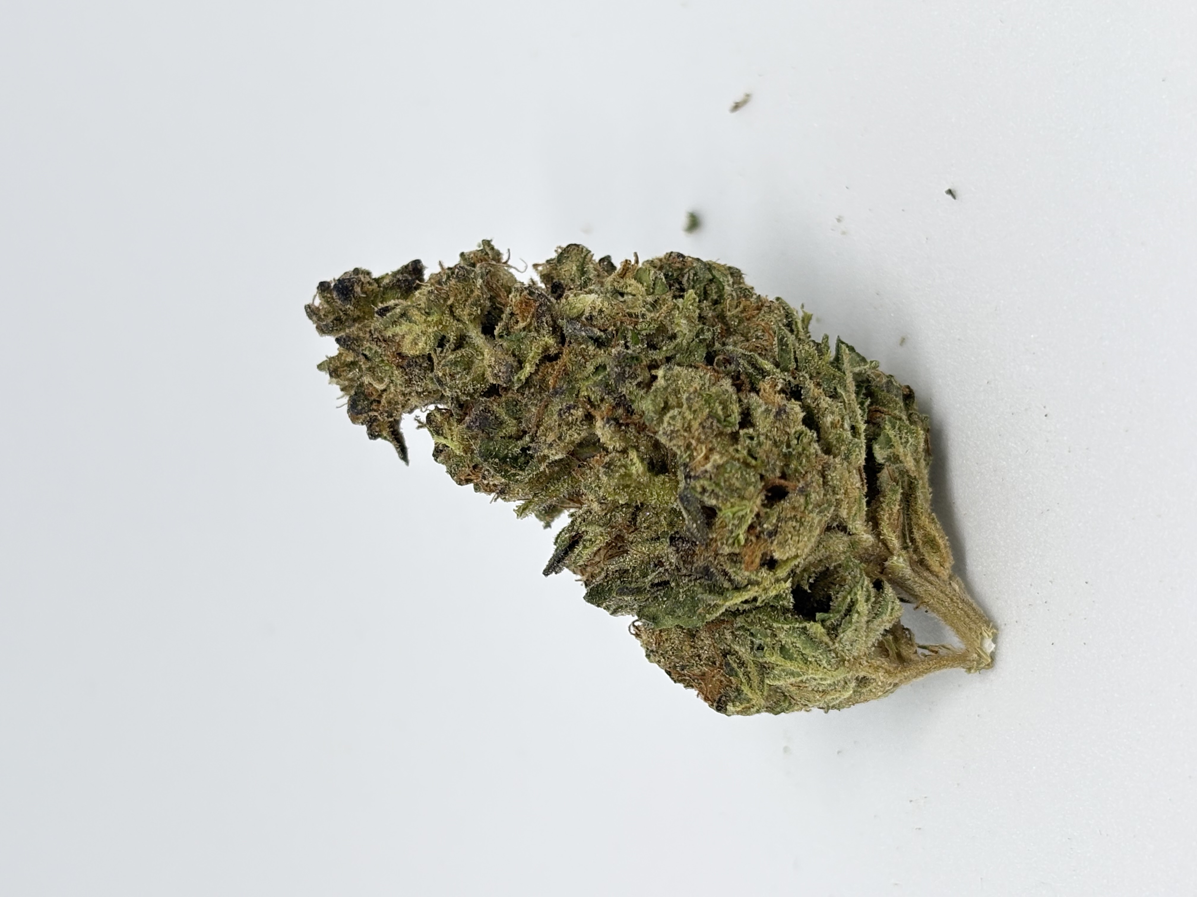 Luana Kush 28/1 von Cannamedical — Cannabisblüte