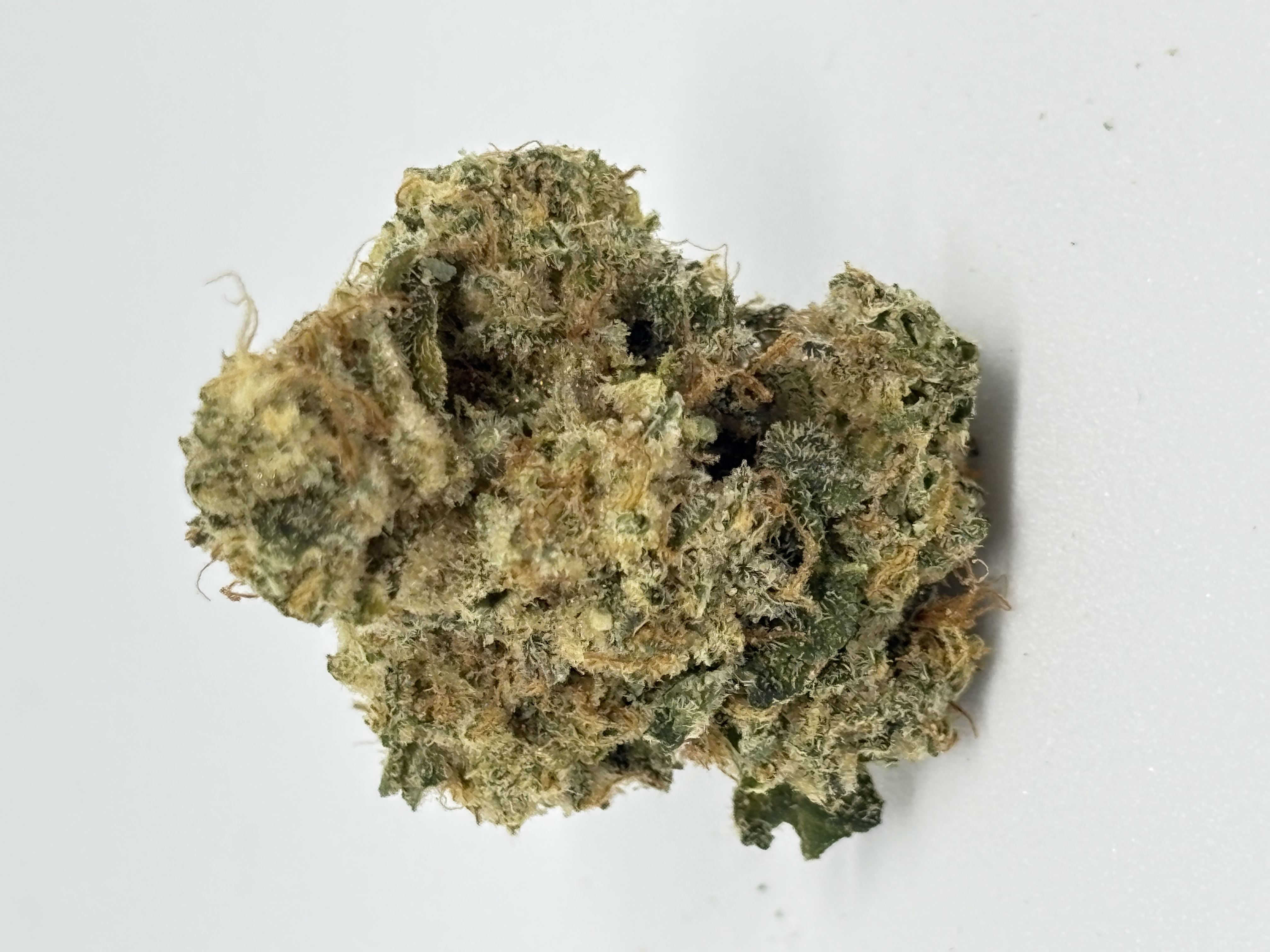 Cresco RST 33/1 Diablo’s Dream von Cantourage — Cannabisblüte