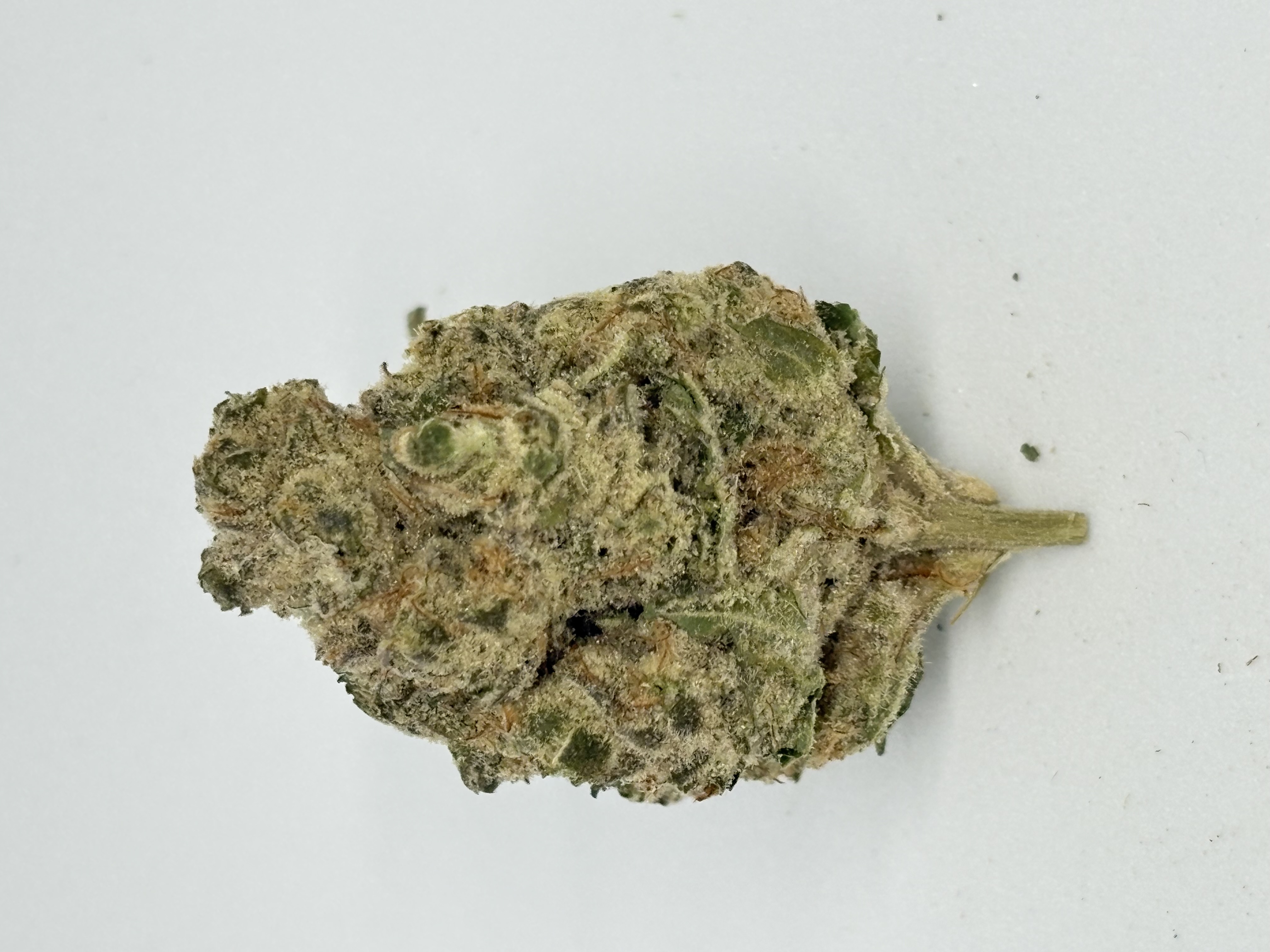enua 27/1 PS3 JFG CA - Jet Fuel Gelato von enua Pharma — Cannabisblüte