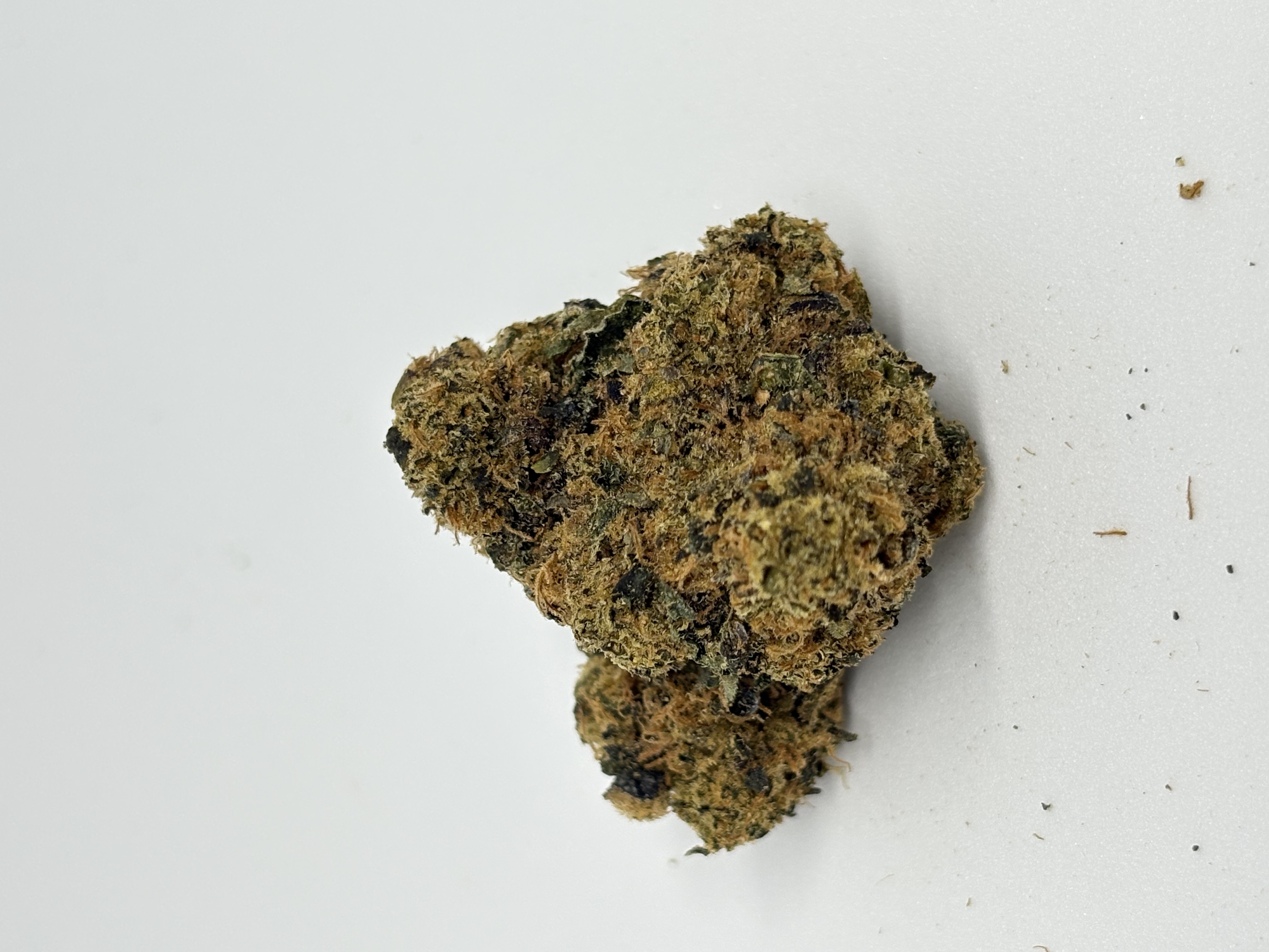 Green Karat MG 29/1 Modified Gas von Green Karat — Cannabisblüte
